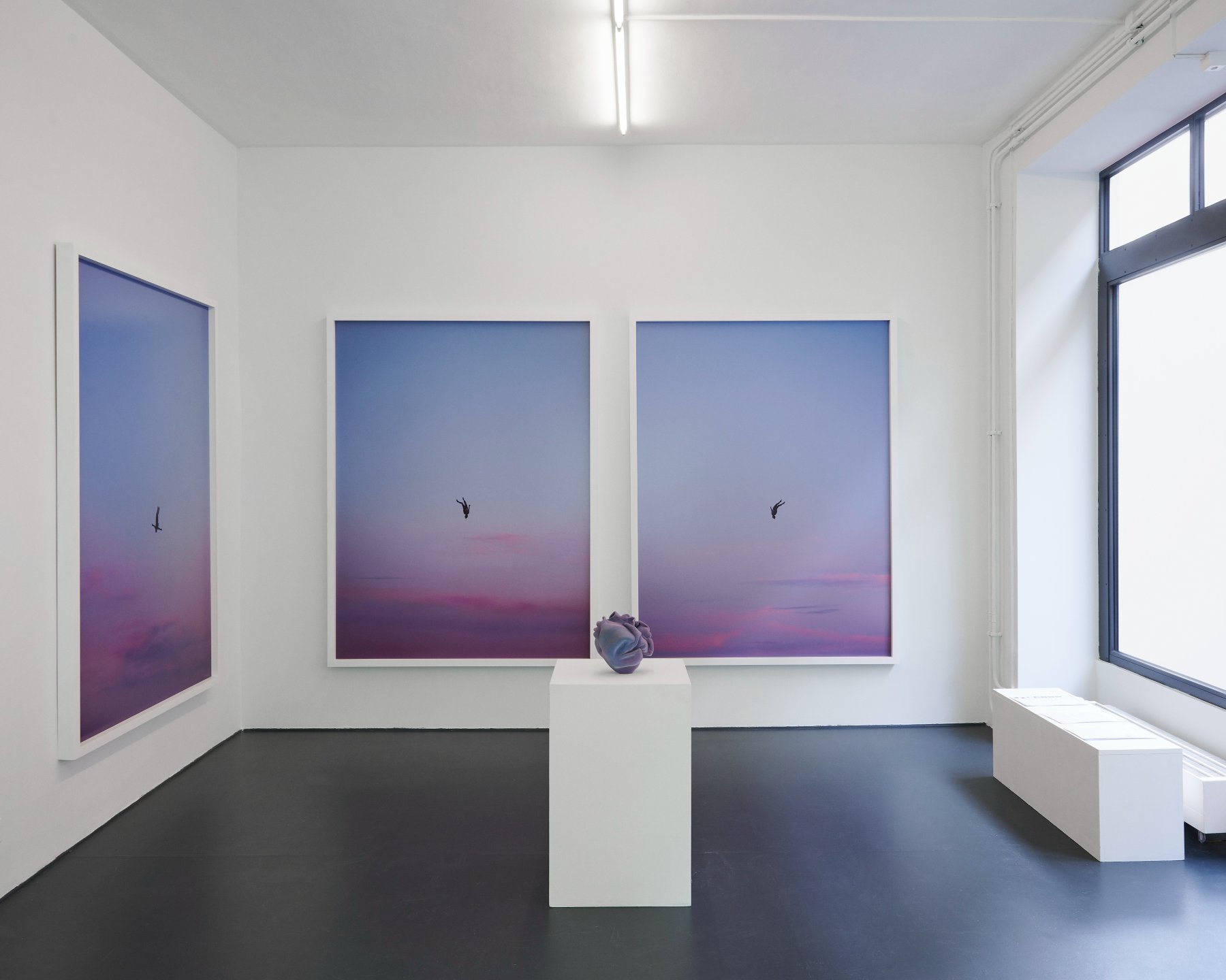 Installation image for Transformative Boundaries, at Fabienne Levy
