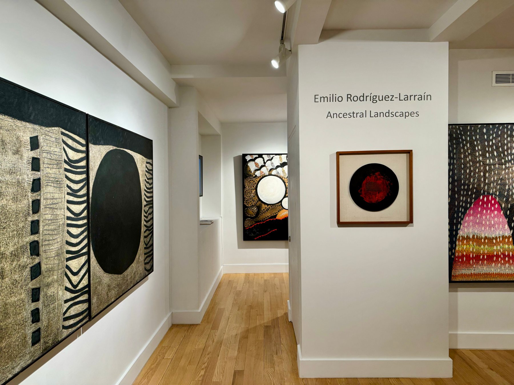 Installation image for Emilio Rodríguez-Larraín: Ancestral Landscapes, at Hutchinson Modern & Contemporary