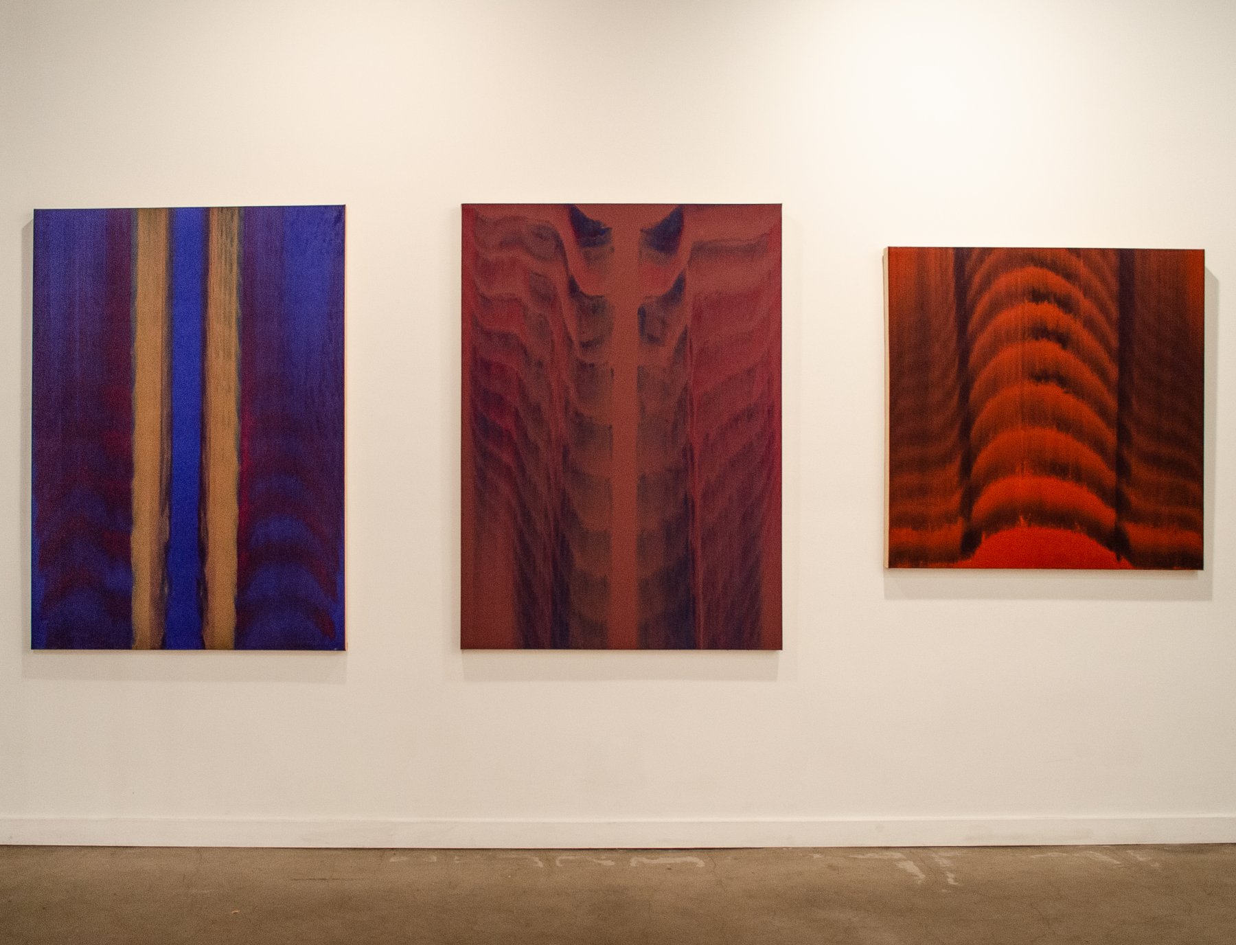 Installation image for Gene Hedge: The Pattern of Nature, at Lincoln Glenn