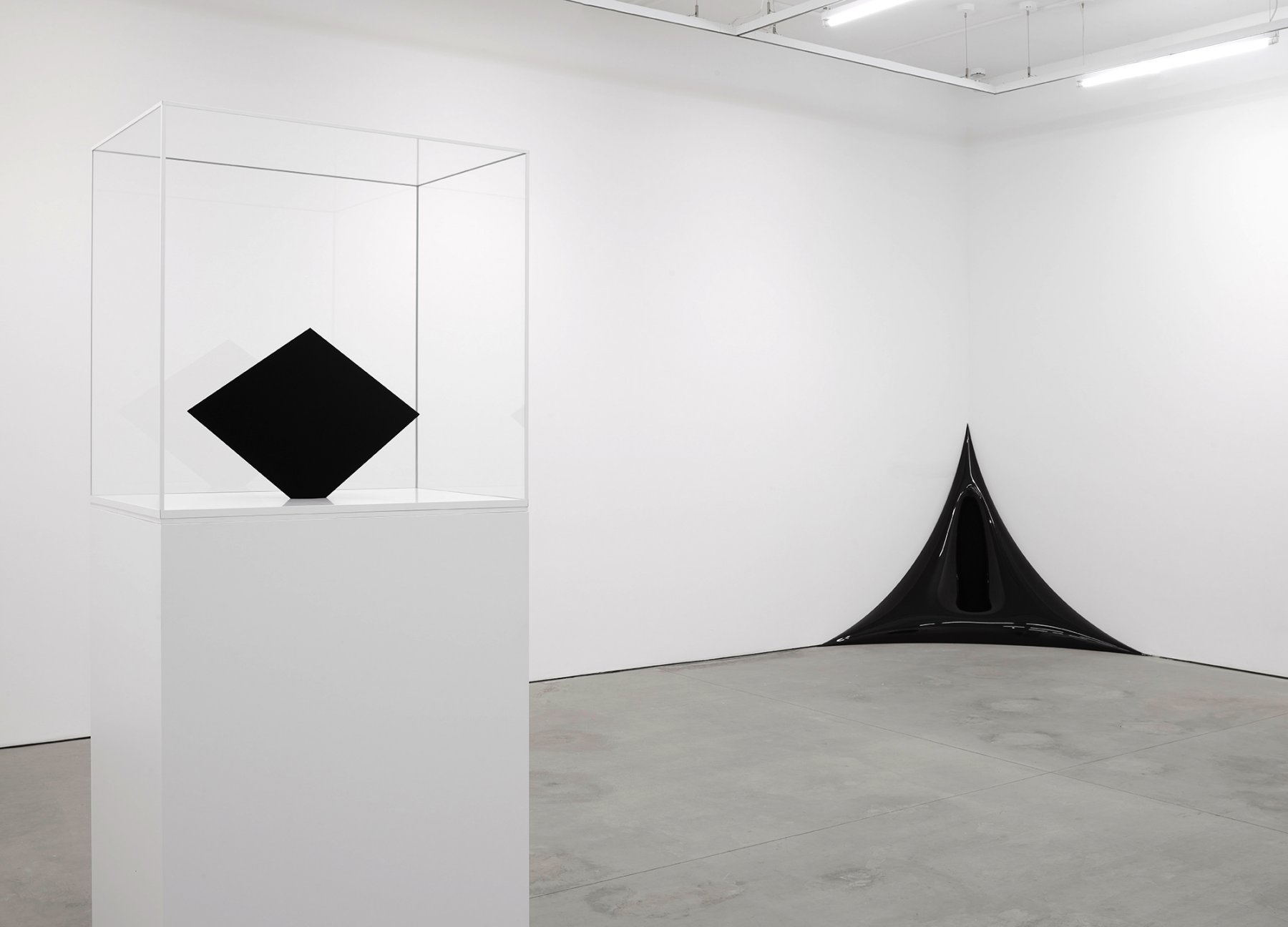 Installation image for Anish Kapoor, at Lisson Gallery