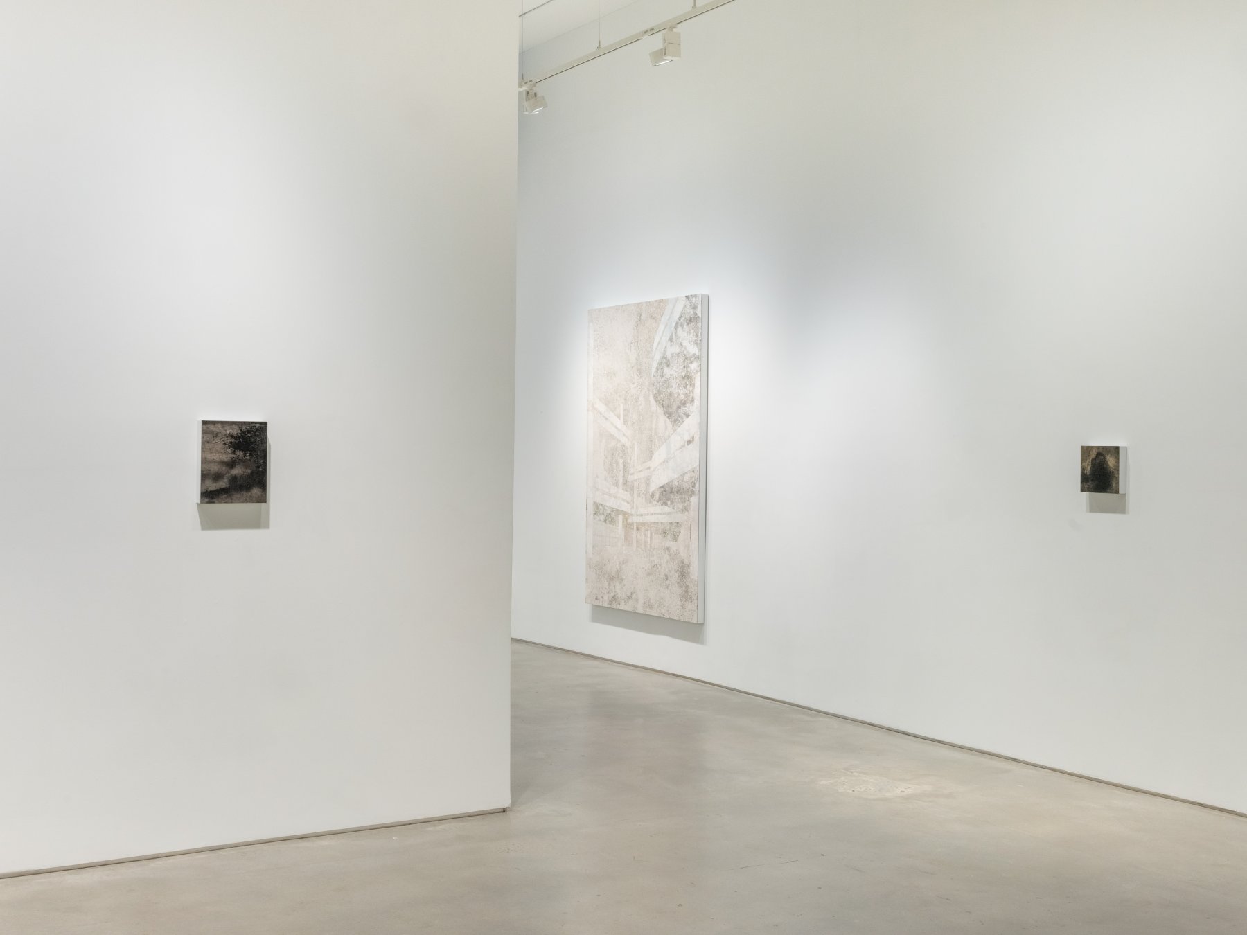 Installation image for Daniel Senise: The Site of Images, at Nara Roesler