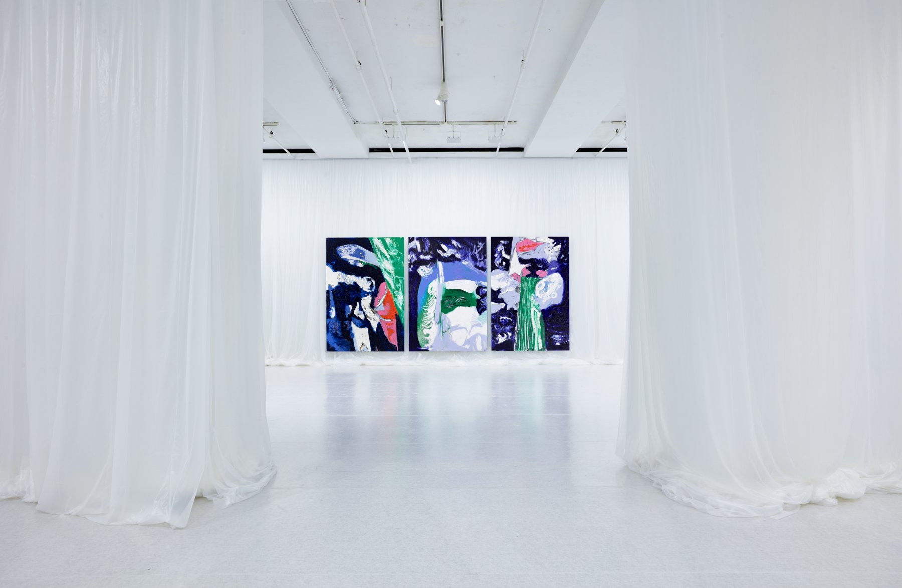 Installation image for Donna Huanca: VENAS DEL CAPULLO, at Sean Kelly Gallery