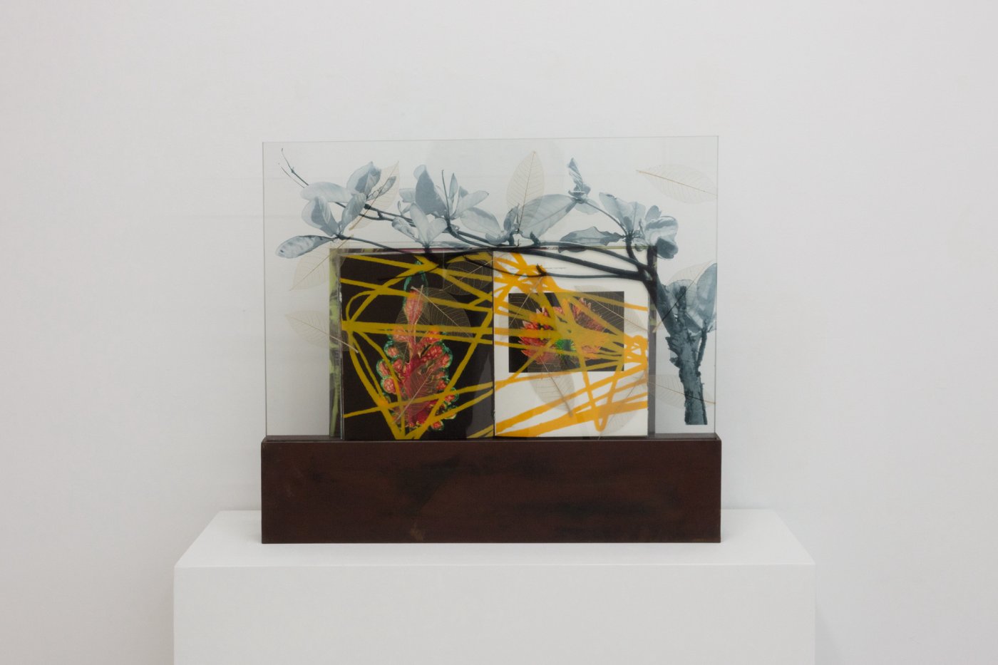 Steve Miller, Re-Leaf, 2010 