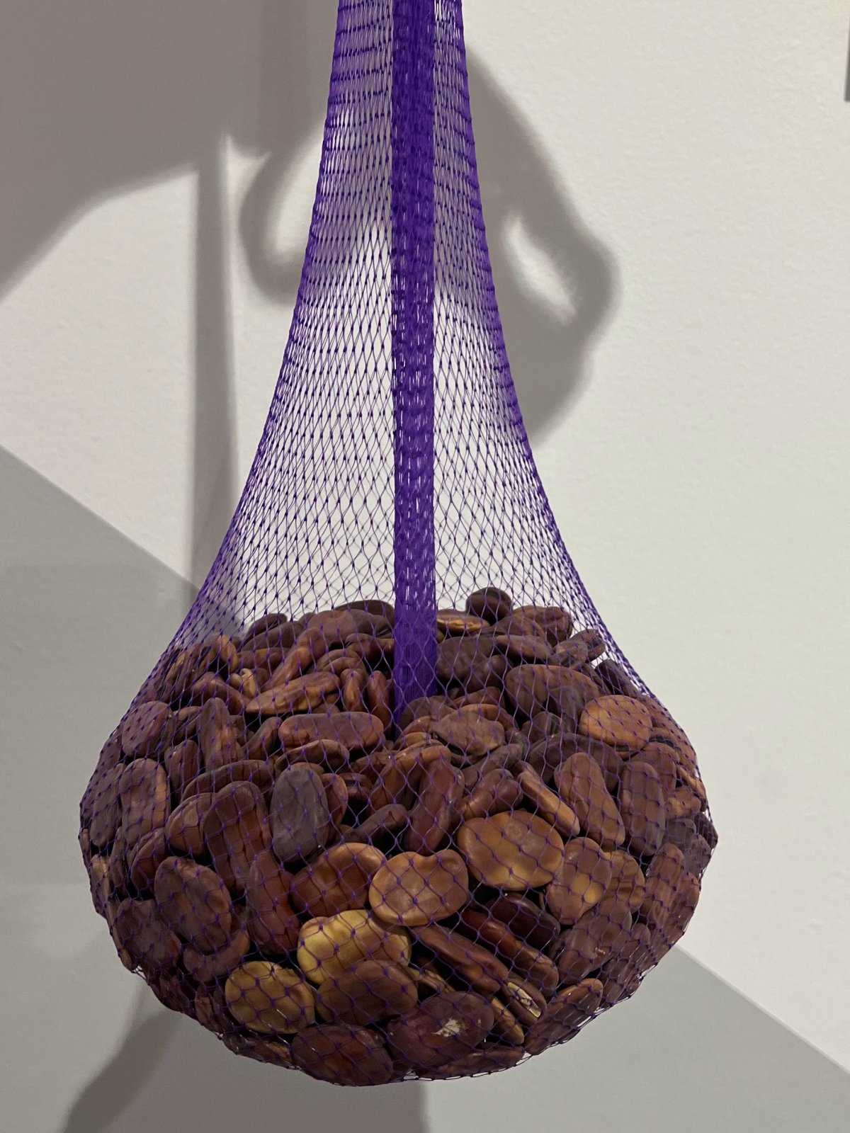 Ernesto Neto, Gravity, Love and Seeds 