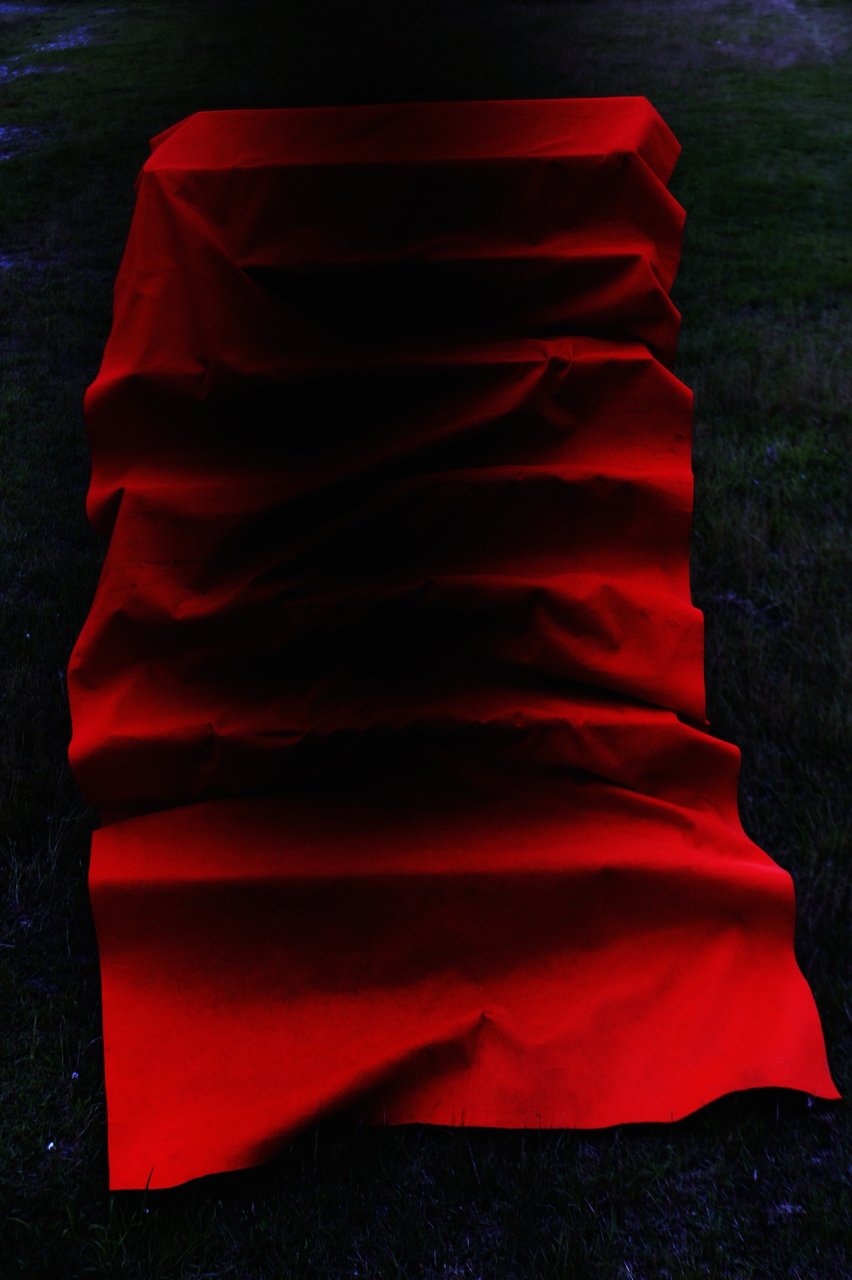 Lieko Shiga, Red Steps, 2010 