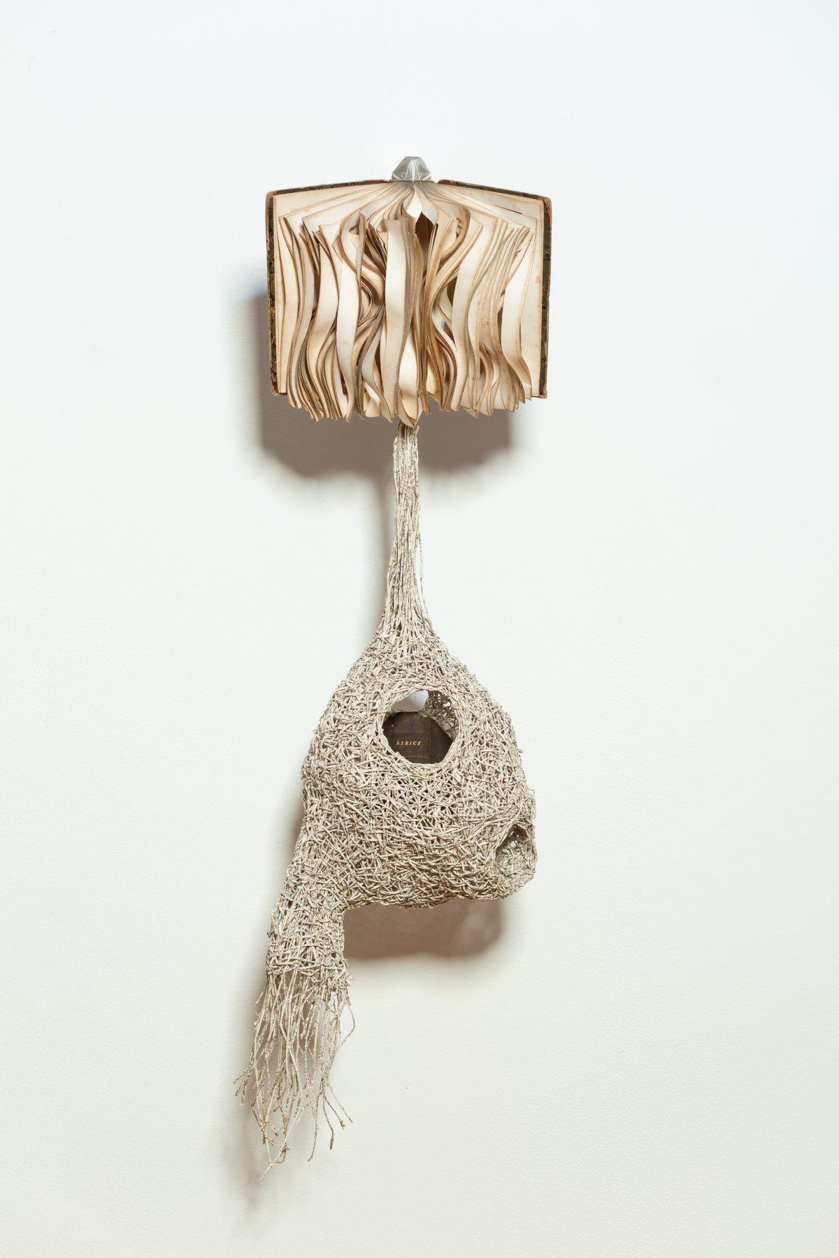 Jukhee Kwon, Where I can rest, 2023