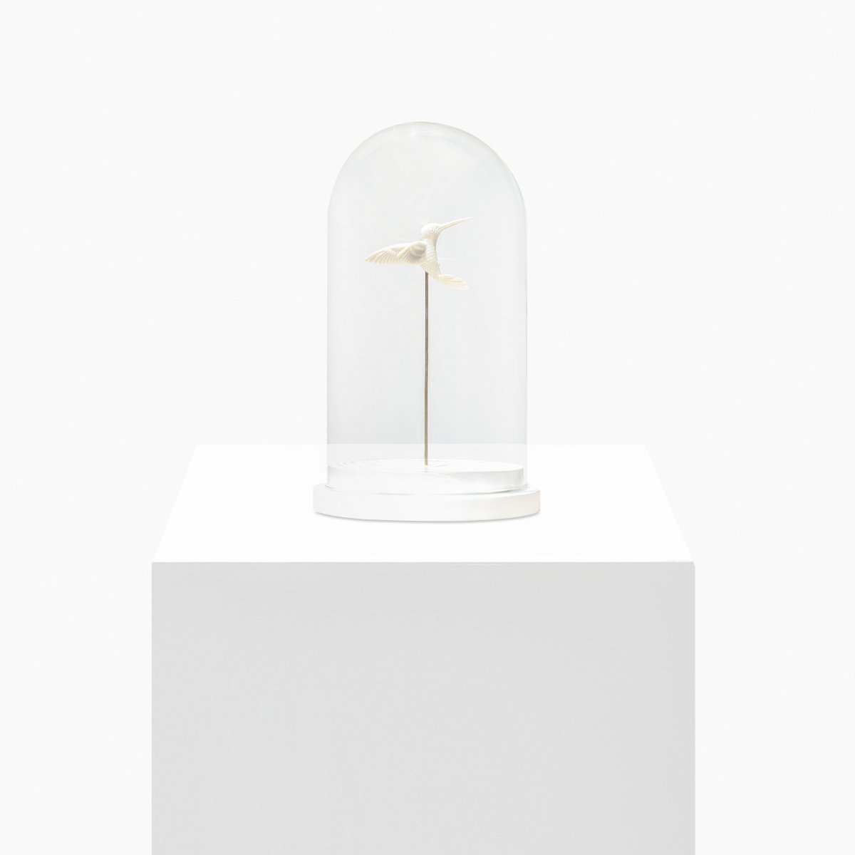 Ana González, HUMMINGBIRD, 2023 