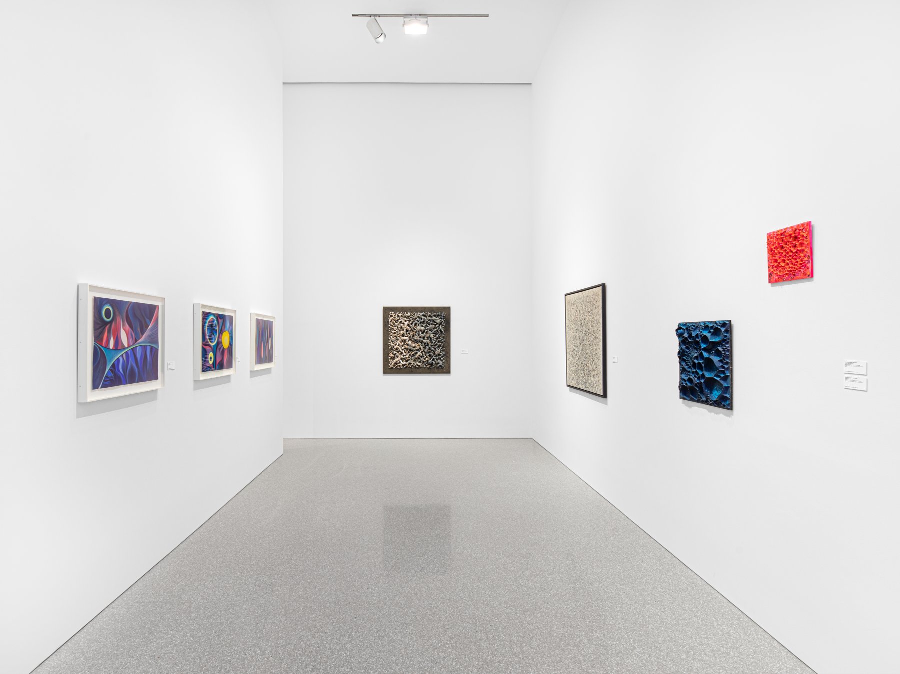 Installation image for Mary Bauermeister: Fuck the System, at Michael Rosenfeld Gallery