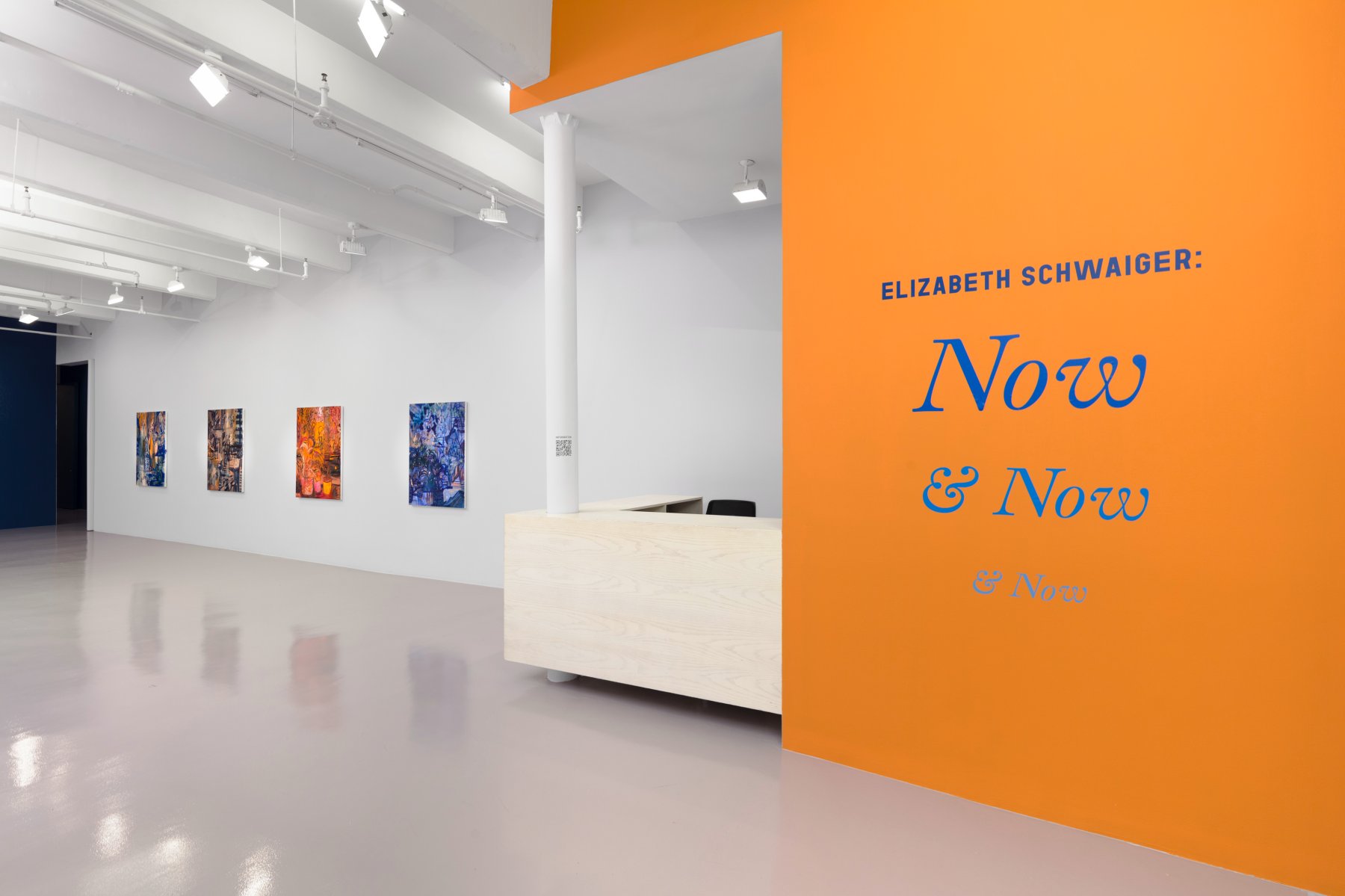 Image for Elizabeth Schwaiger: Now & Now & Now, at Nicola Vassell Gallery