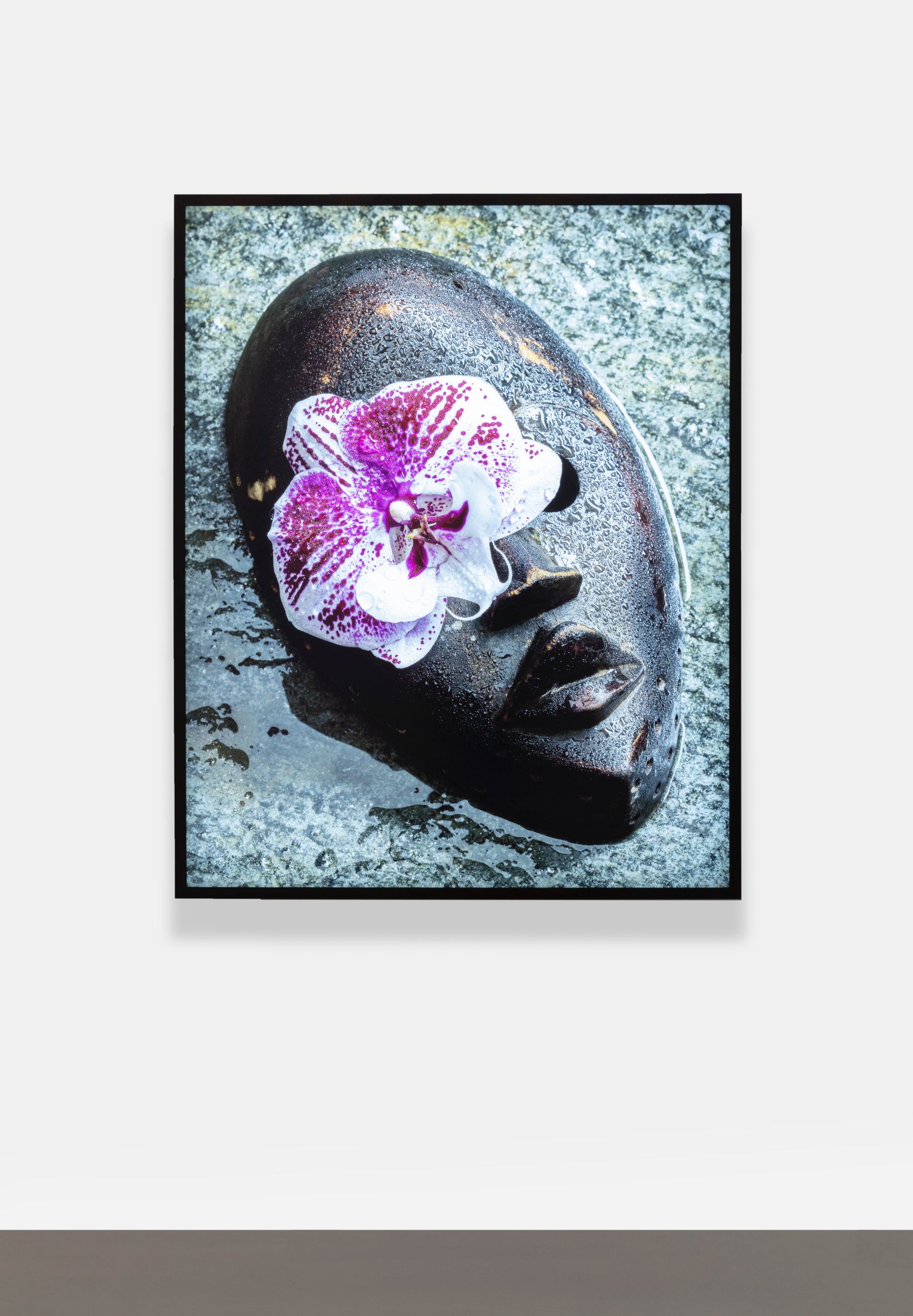 Image for Sean Kelly Gallery at Frieze Los Angeles 2024: Awol Erizku, at Sean Kelly Gallery