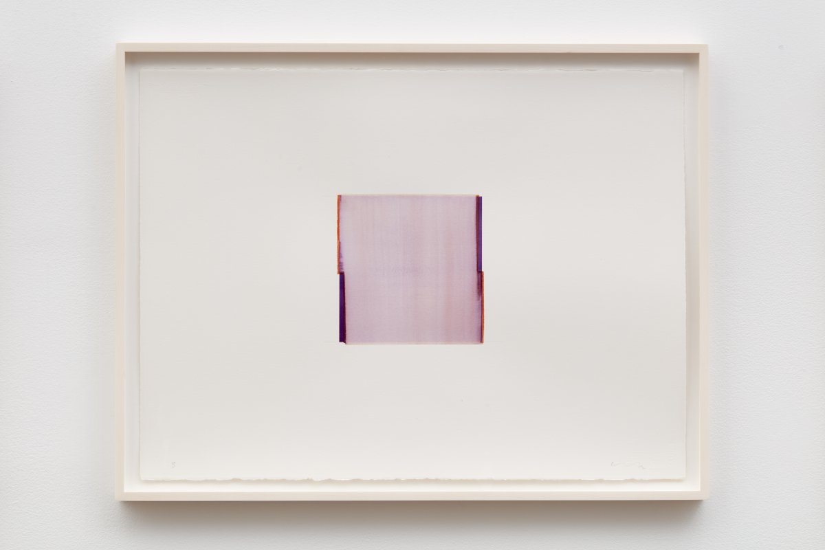 Callum Innes, Quinacridone Violet / Transparent Sienna, 2022 