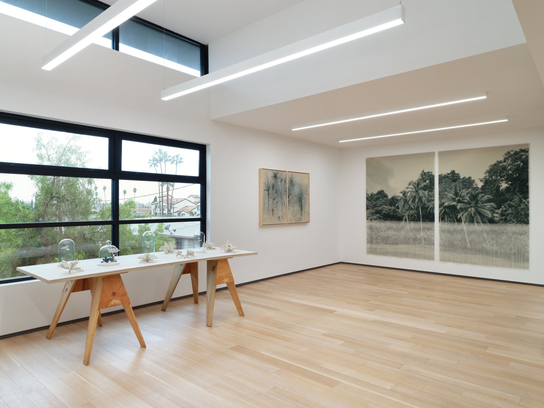 Image for Ana González: VERDES, at Sean Kelly Gallery