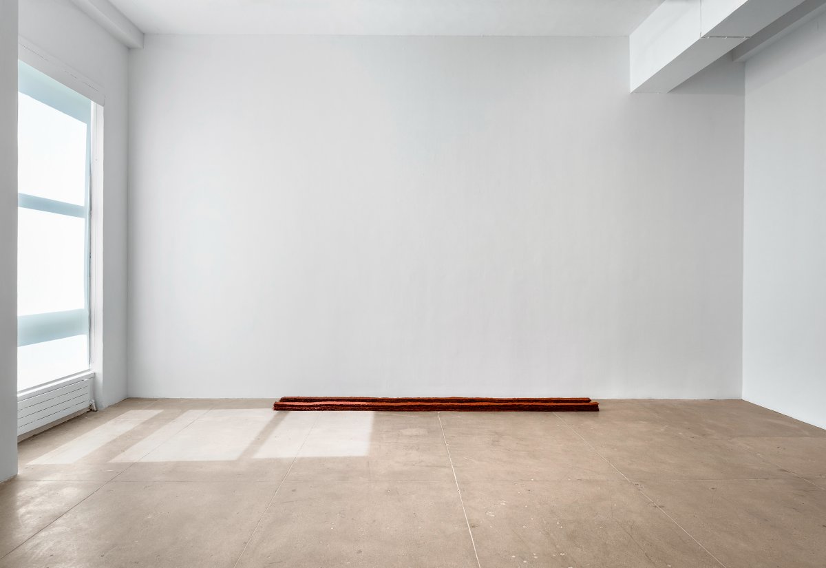 Delcy Morelos, Eva, 2013