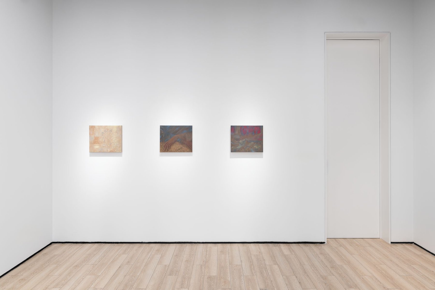 Installation image for Fabien Adèle: Blush, at Almine Rech
