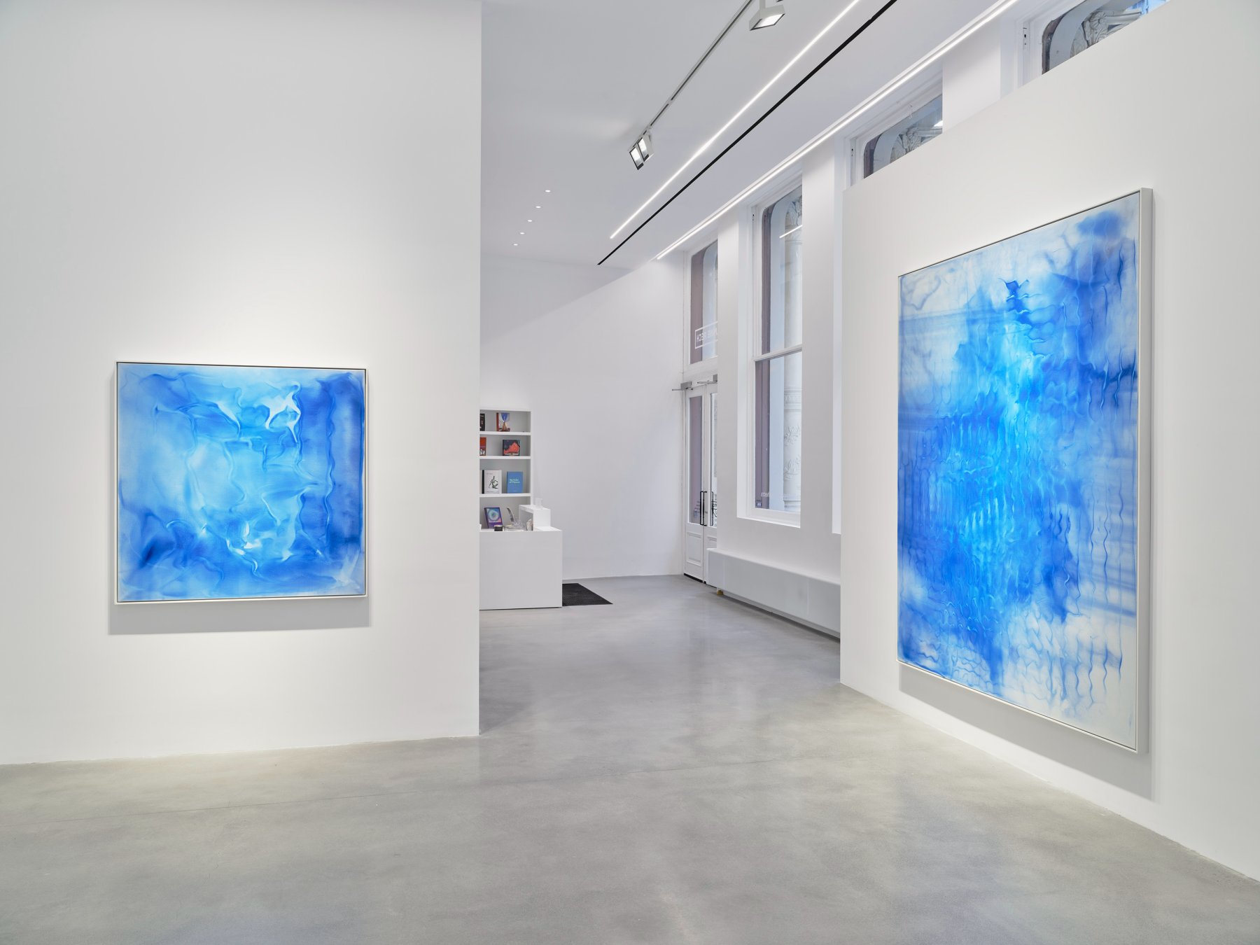 Installation image for Oliver Beer: Resonance Paintings - Cat Orchestra, at Almine Rech