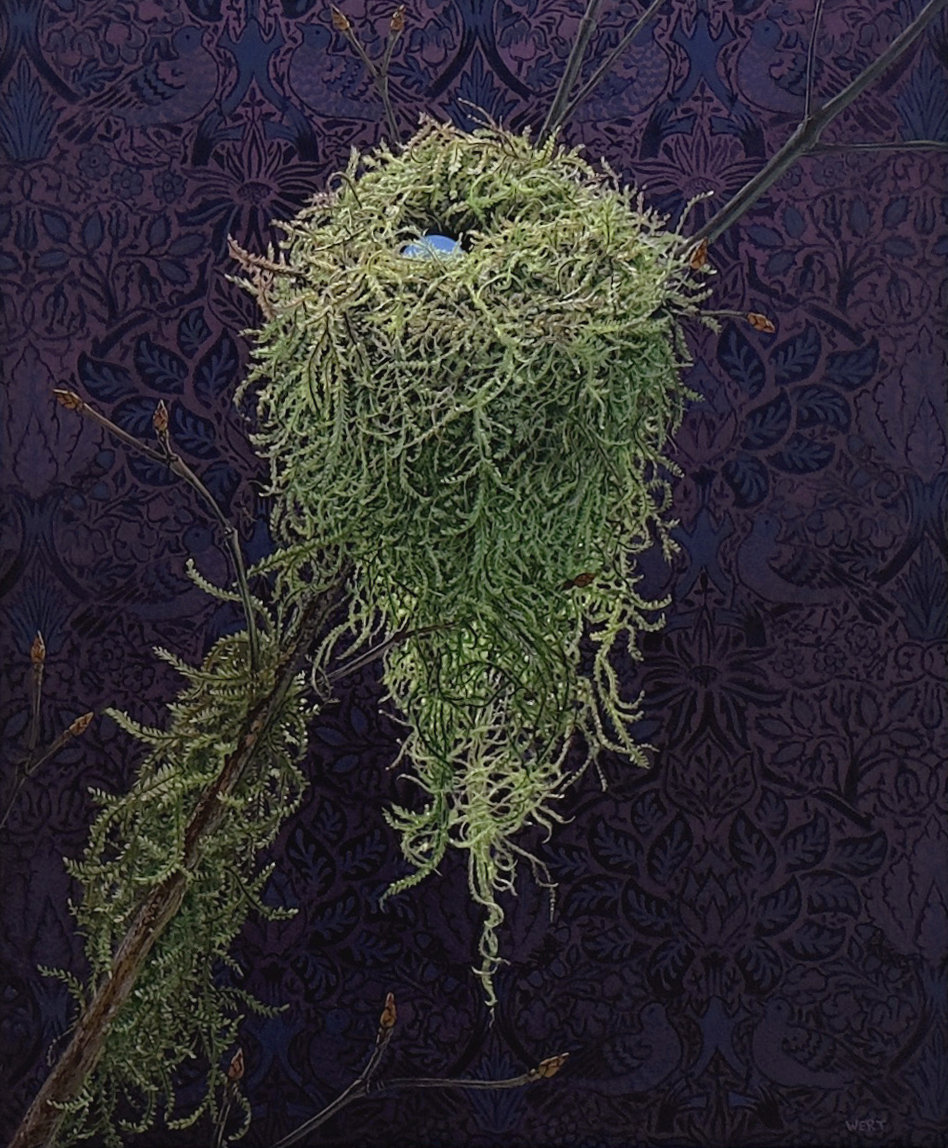 Eric Wert, Moss Nest, 2024