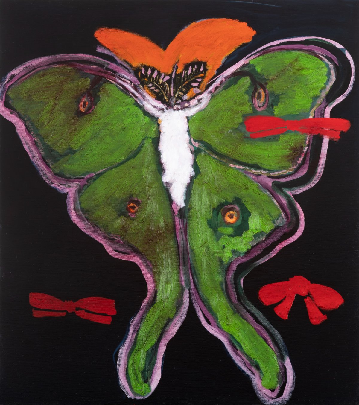 Jan Van Imschoot, Un papillon de la nuit africaine, 2023