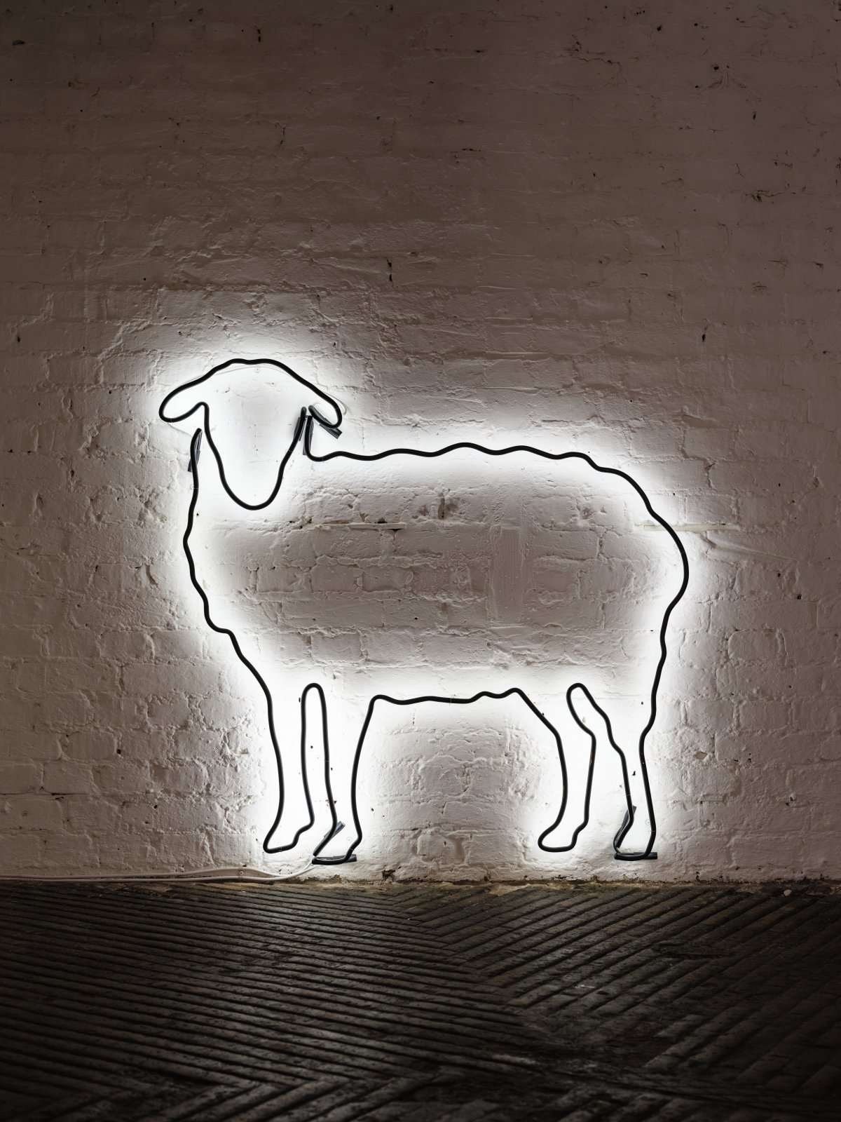 Black Sheep, 2024
