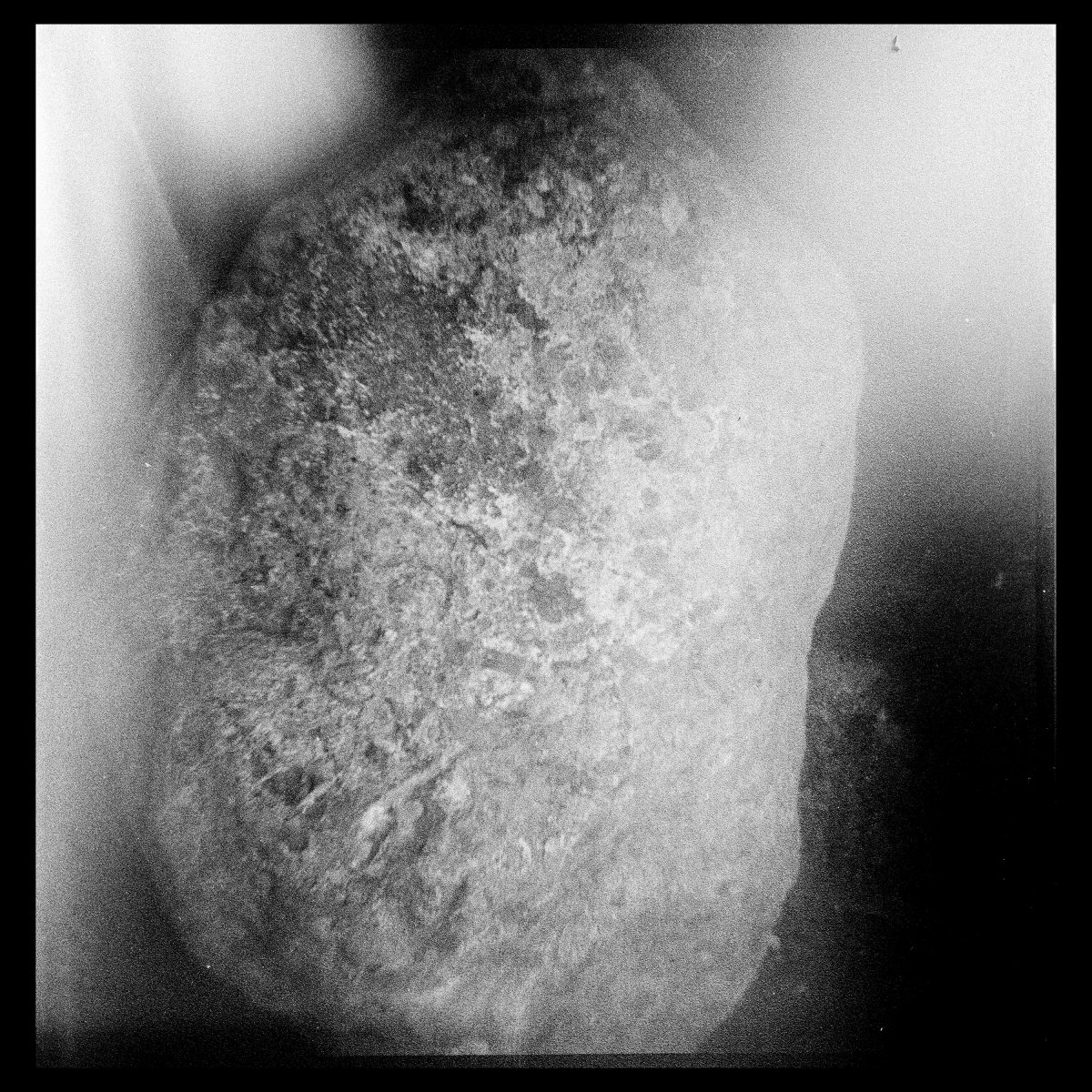 Mohammad Ghazali, Mohammad Ghazali, Mohammad Ghazali, Mohammad Ghazali, Mohammad Ghazali, Mohammad Ghazali, Mohammad Ghazali, Mohammad Ghazali, Mohammad Ghazali, Mohammad Ghazali, Mohammad Ghazali, Mohammad Ghazali, Mohammad Ghazali, Mohammad Ghazali, Mohammad Ghazali & Mohammad Ghazali, The Stone Knows - 35.71906° N, 51.42748° E, 2009-2024