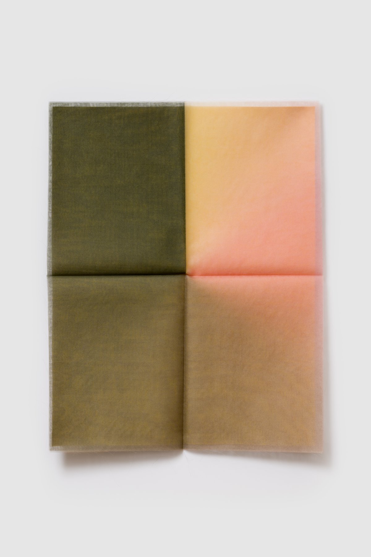 Margrethe Odgaard, Letter Four (A fish leaping gracefully toward a million shimmering leaves, swimming against the current toward the light), 2024