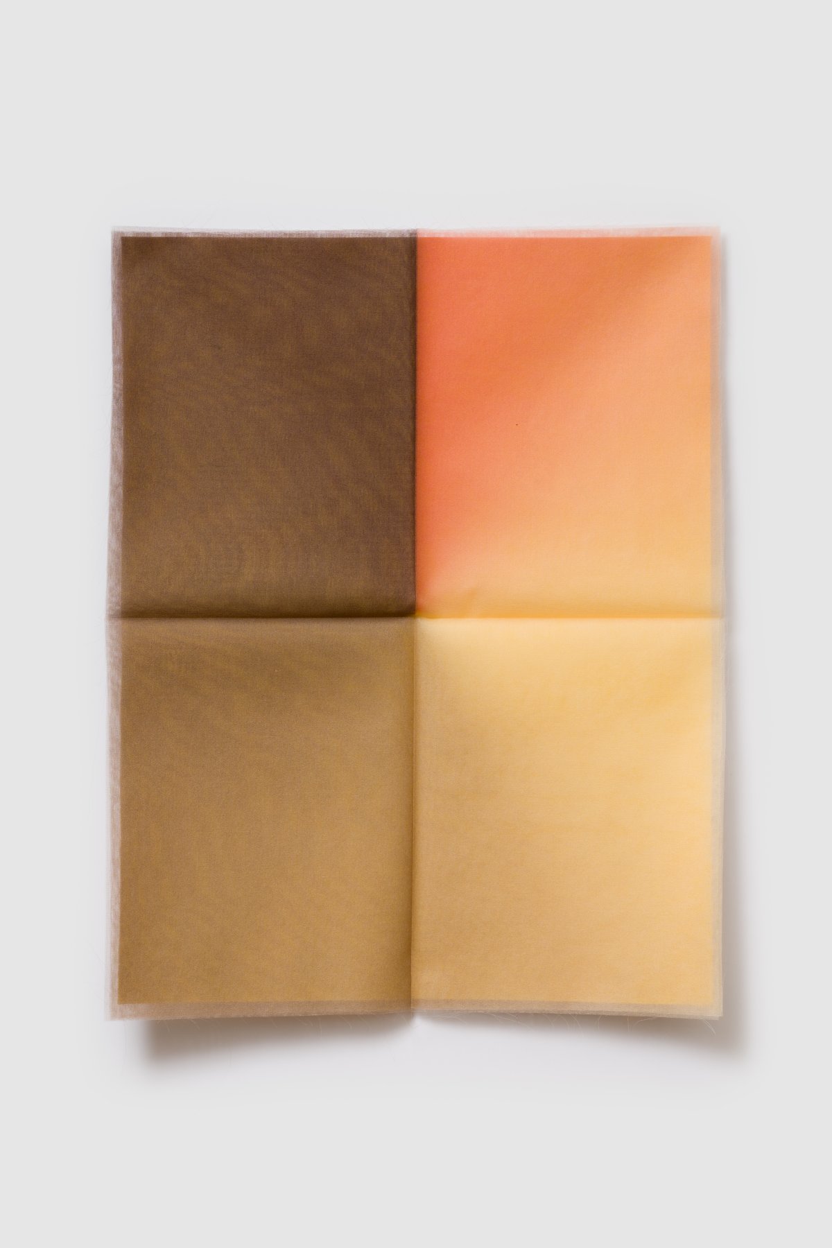 Margrethe Odgaard, Letter Seven ( Their golden, chestnutbrown hair dampened by the rain, glittered in the sunset), 2024