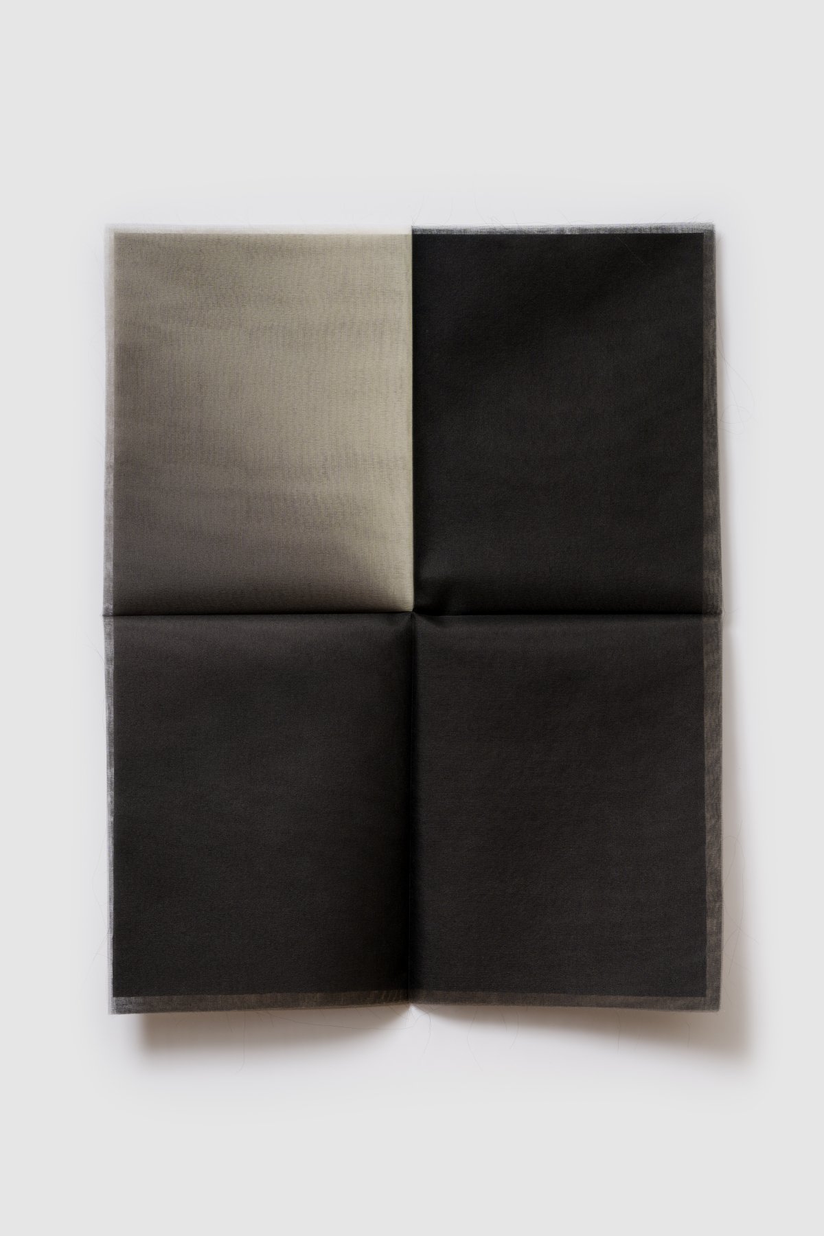 Margrethe Odgaard, Letter Six (The world outside was pitch-black with faint starlight), 2024