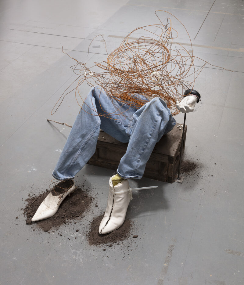 Image for Anne Hardy: Survival Spell, at Maureen Paley