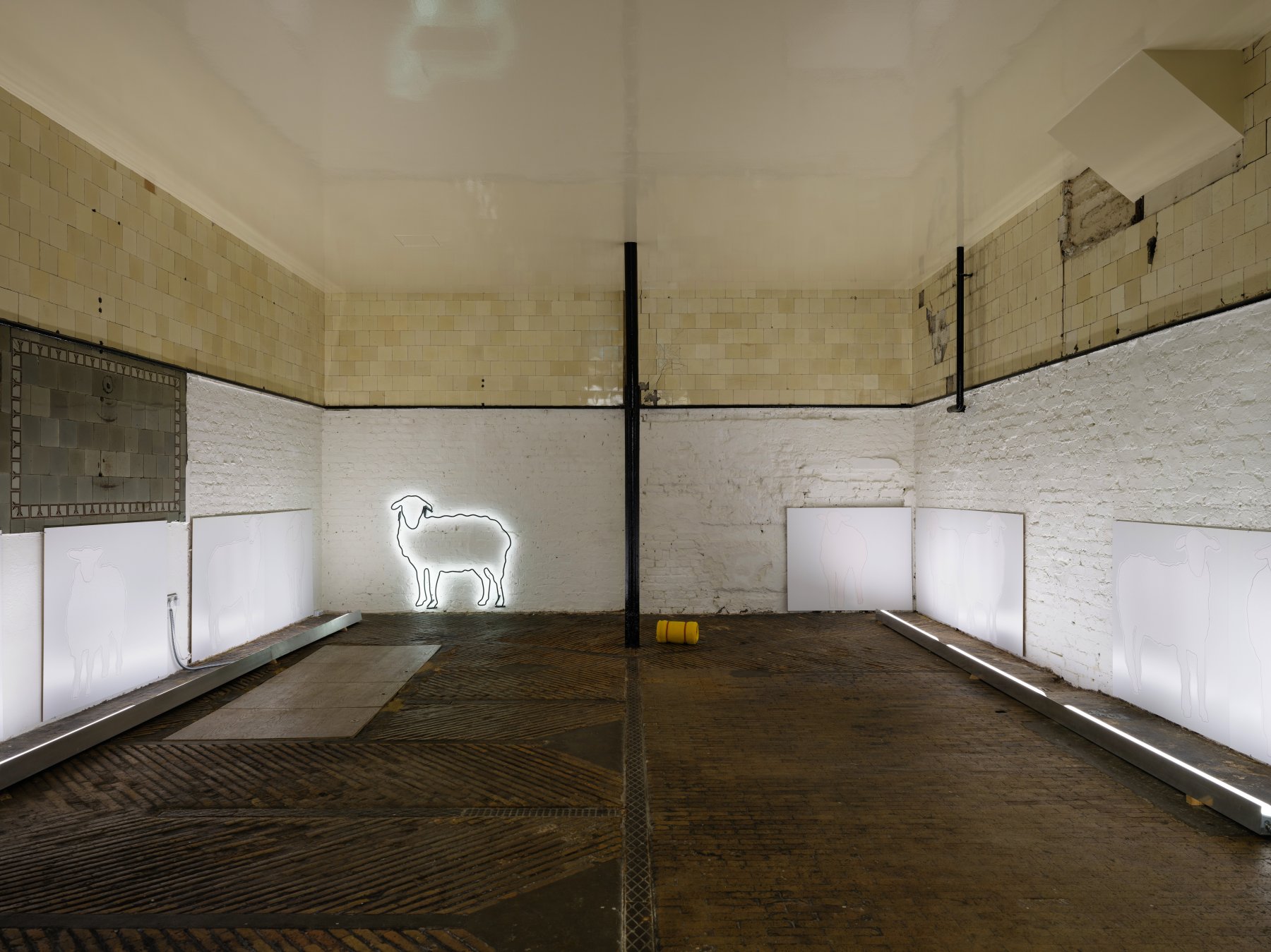 Installation image for Liliana Moro: In No Time, at Rodeo