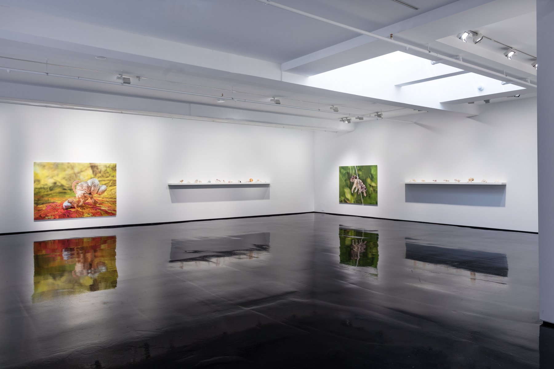 Image for Rosemary Laing: swansongs, at Tolarno Galleries
