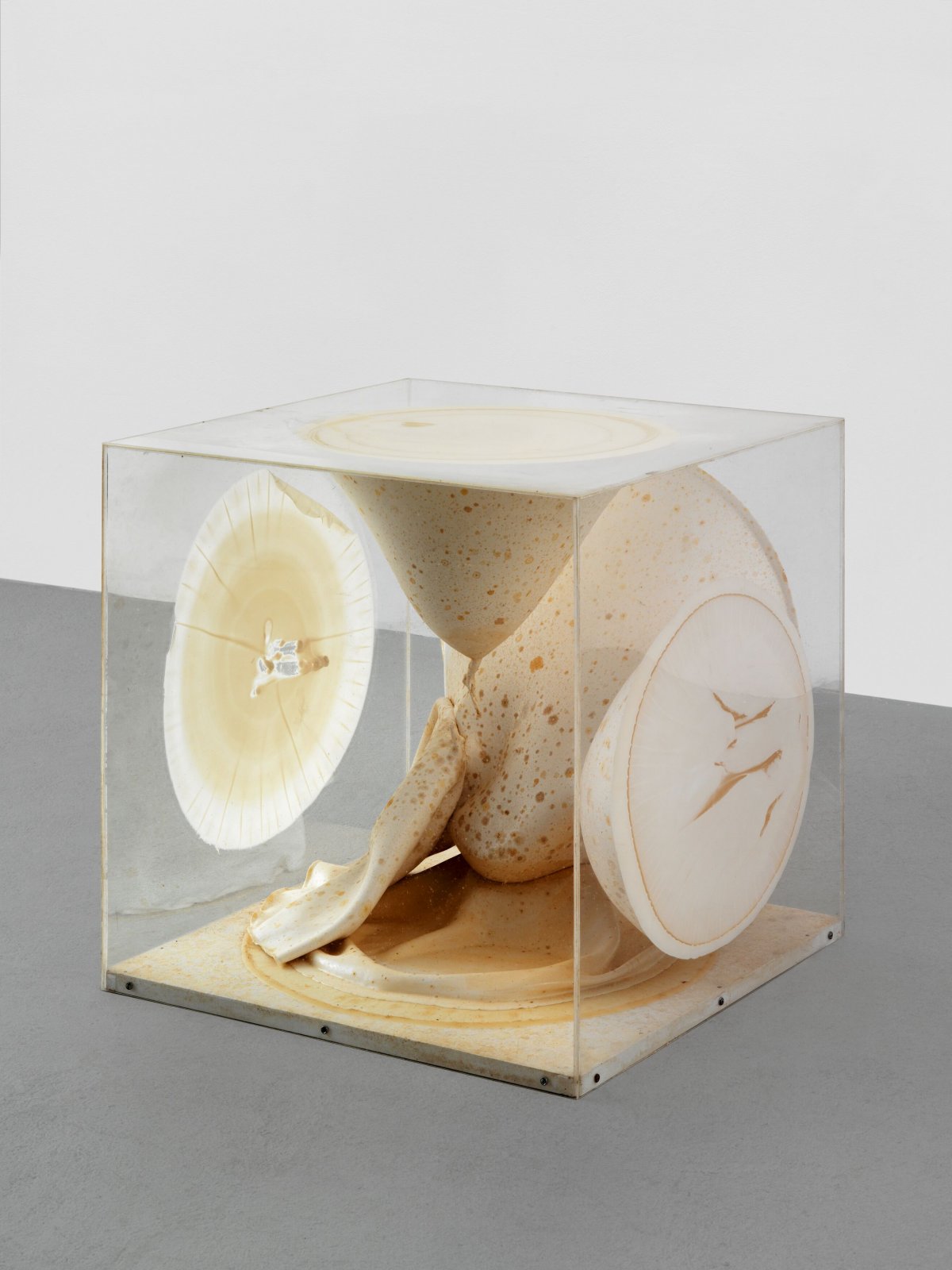 Takesada Matsutani, Object-Box / Plexiglas Box, 1966