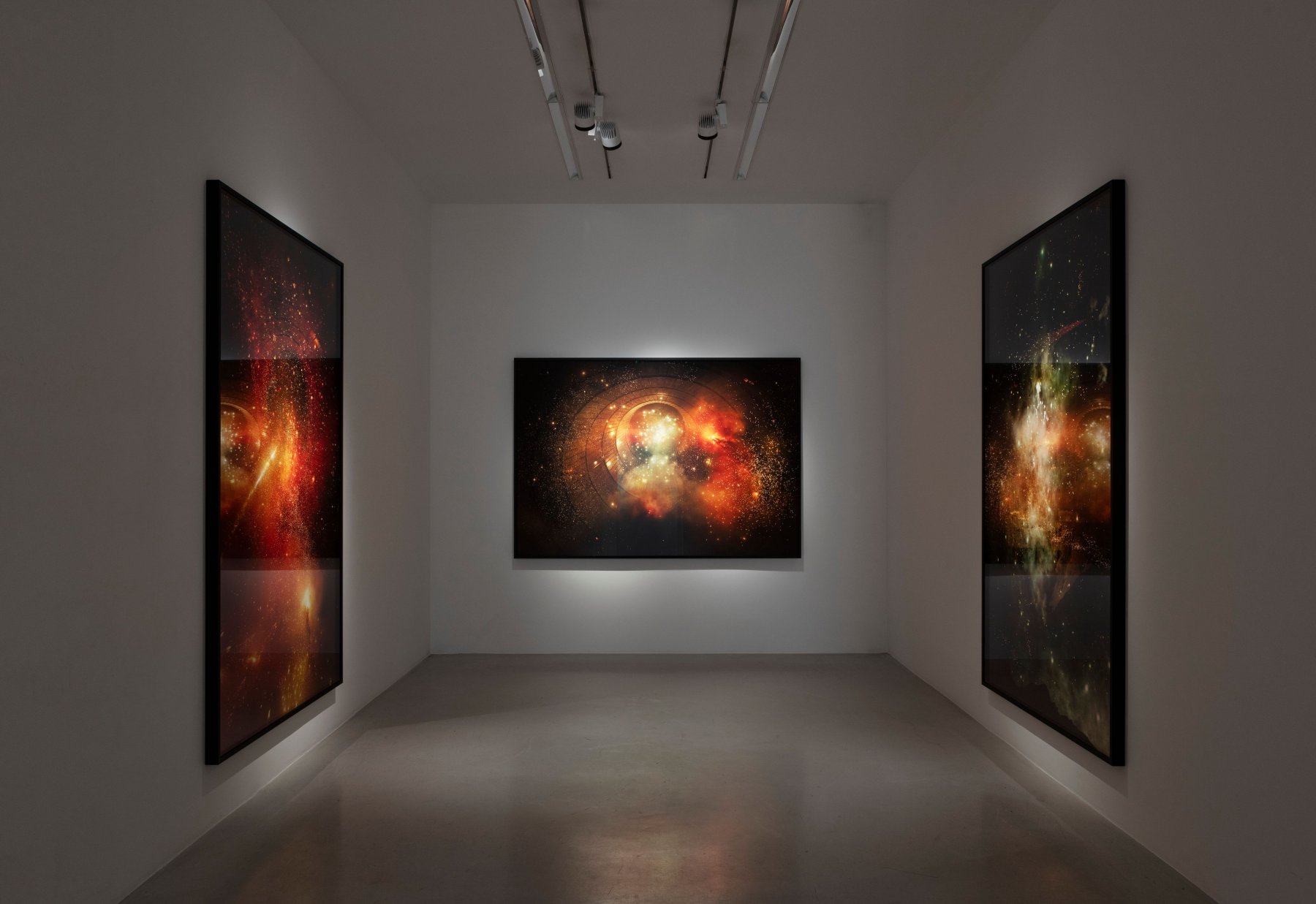 Installation image for Julian Charrière: Panchronic Gardens, at Perrotin