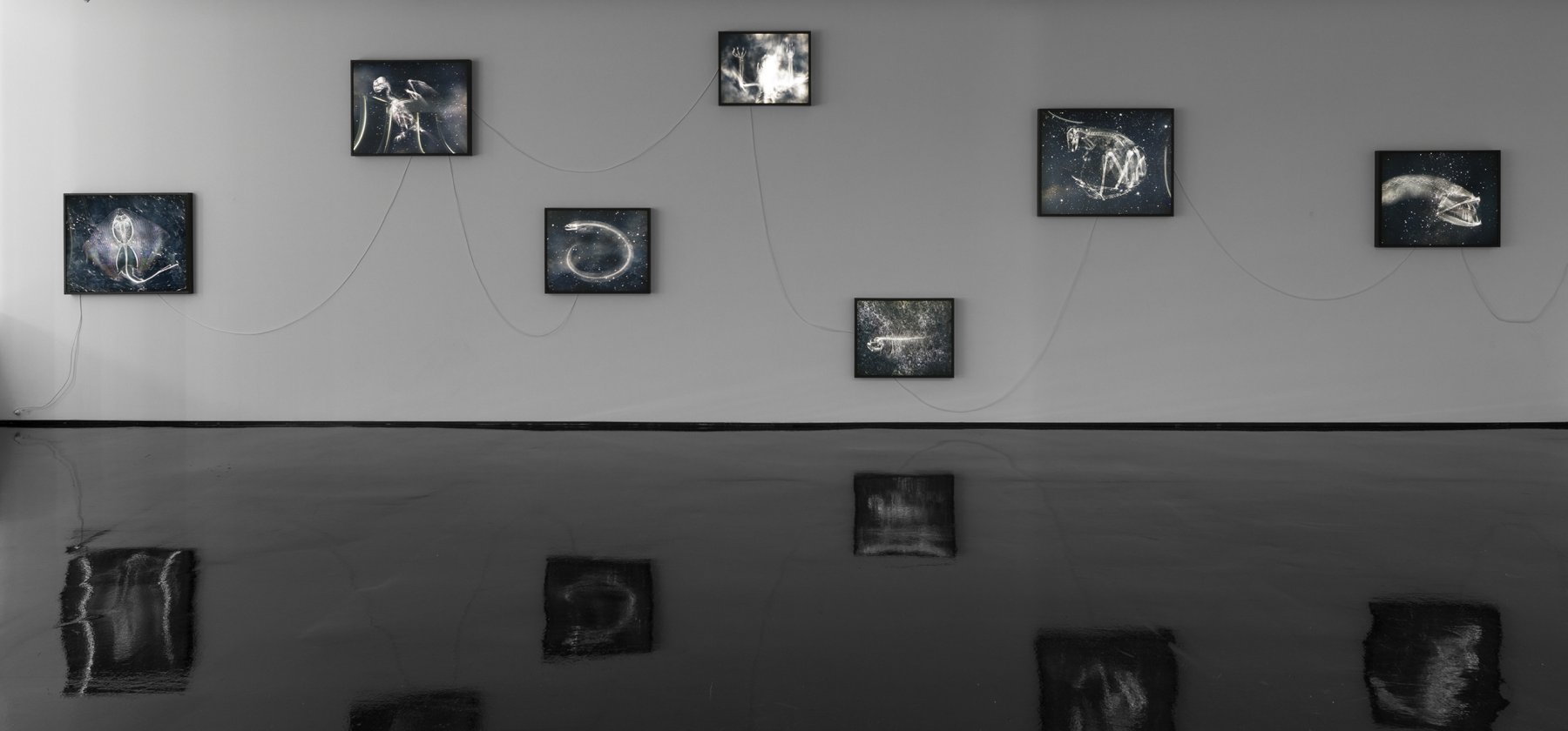 Image for Amos Gebhardt: In memory of stars, at Tolarno Galleries