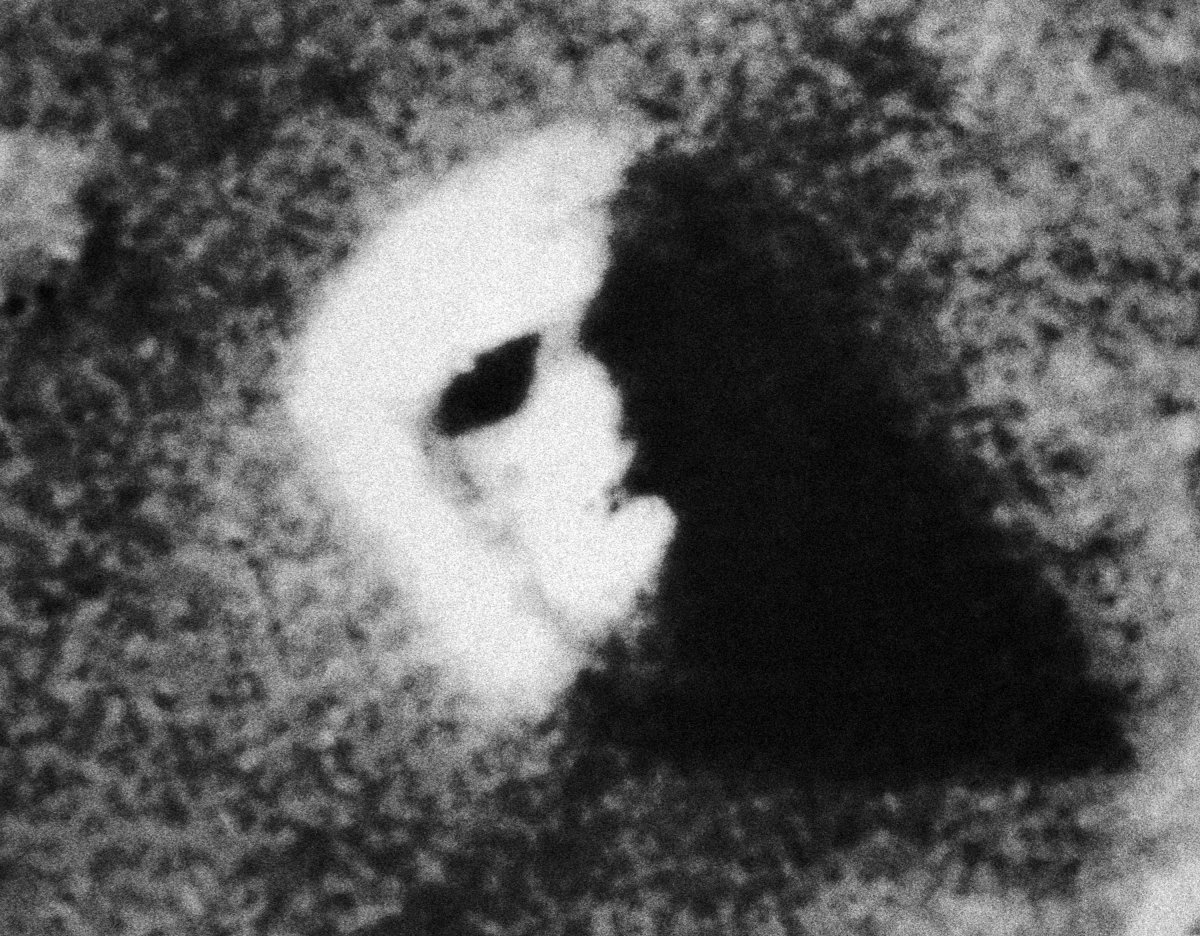Brittany Nelson, Brittany Nelson, Brittany Nelson, Joanne Leonard, Joanne Leonard, Joanne Leonard, Brittany Nelson, Joanne Leonard, Brittany Nelson, Joanne Leonard, Joanne Leonard, Brittany Nelson, Brittany Nelson, Brittany Nelson, Brittany Nelson, Joanne Leonard, Brittany Nelson, Brittany Nelson & Brittany Nelson, Face on Mars, 2024