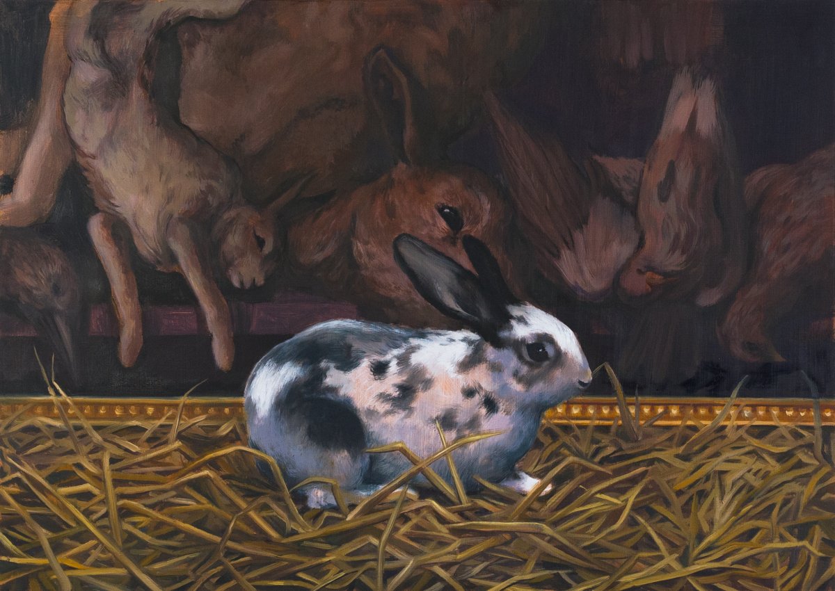 Louise Reynolds, Media Diet, 2024