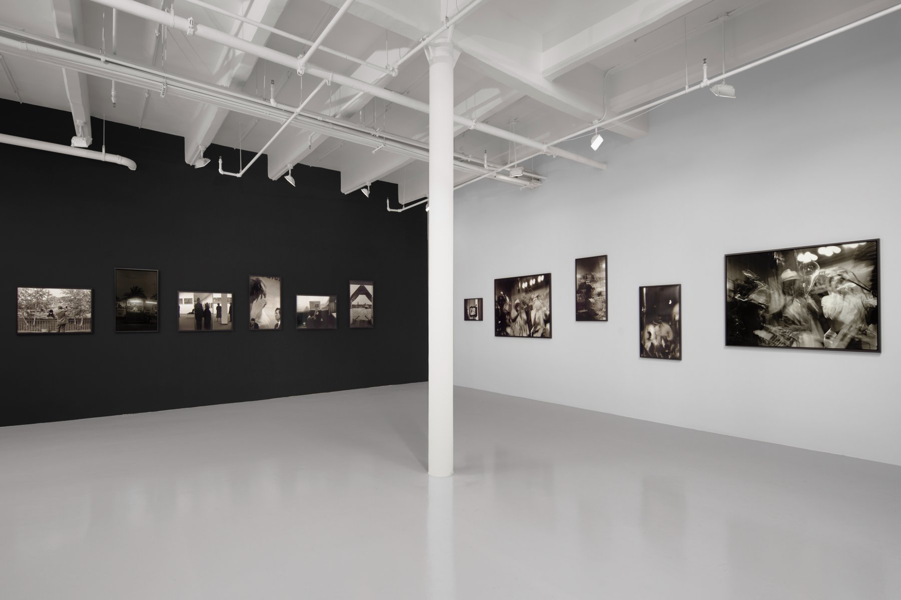 Nicola Vassell Gallery