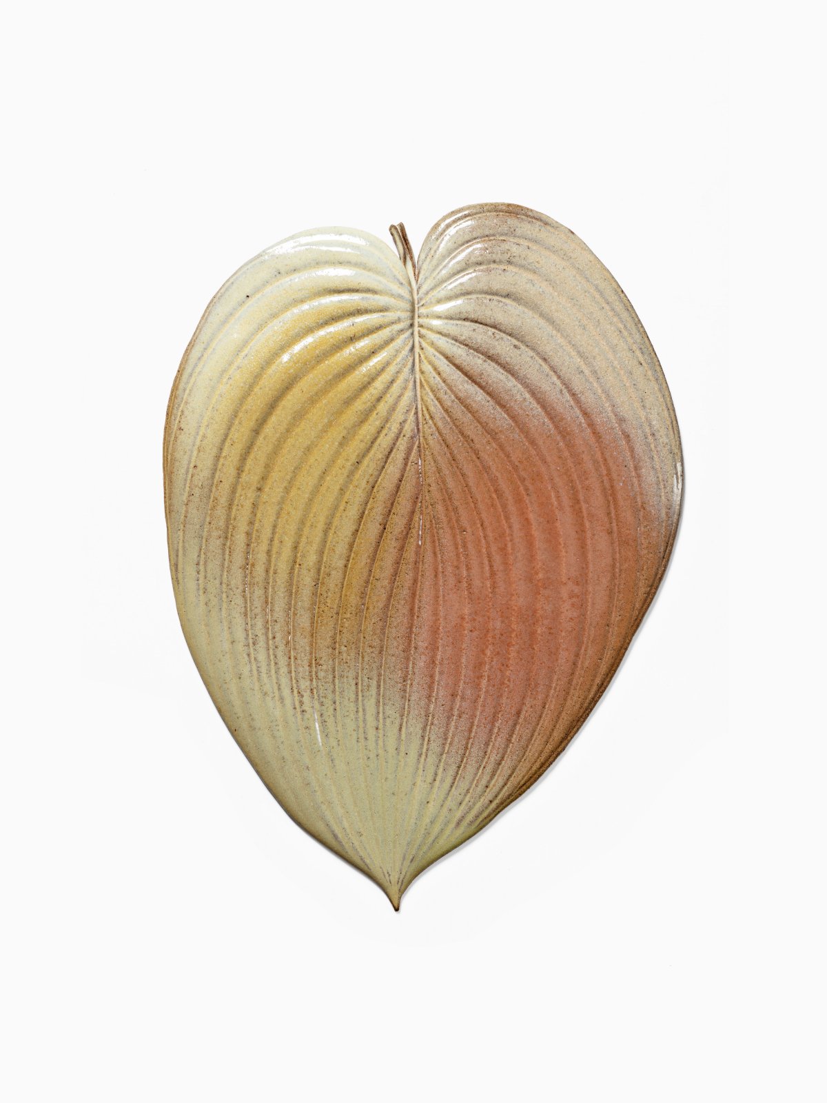 Marianne Nielsen, Hosta, 2024