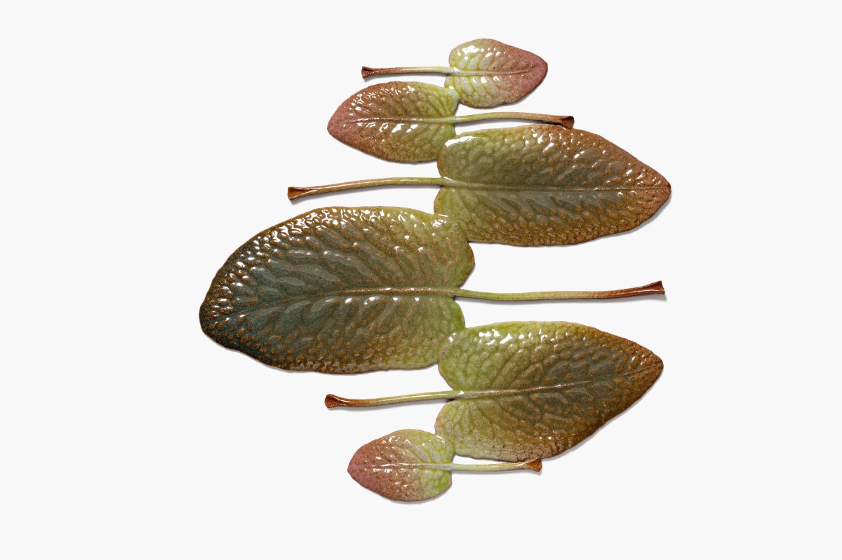 Marianne Nielsen, Six Dock Leaves, 2023