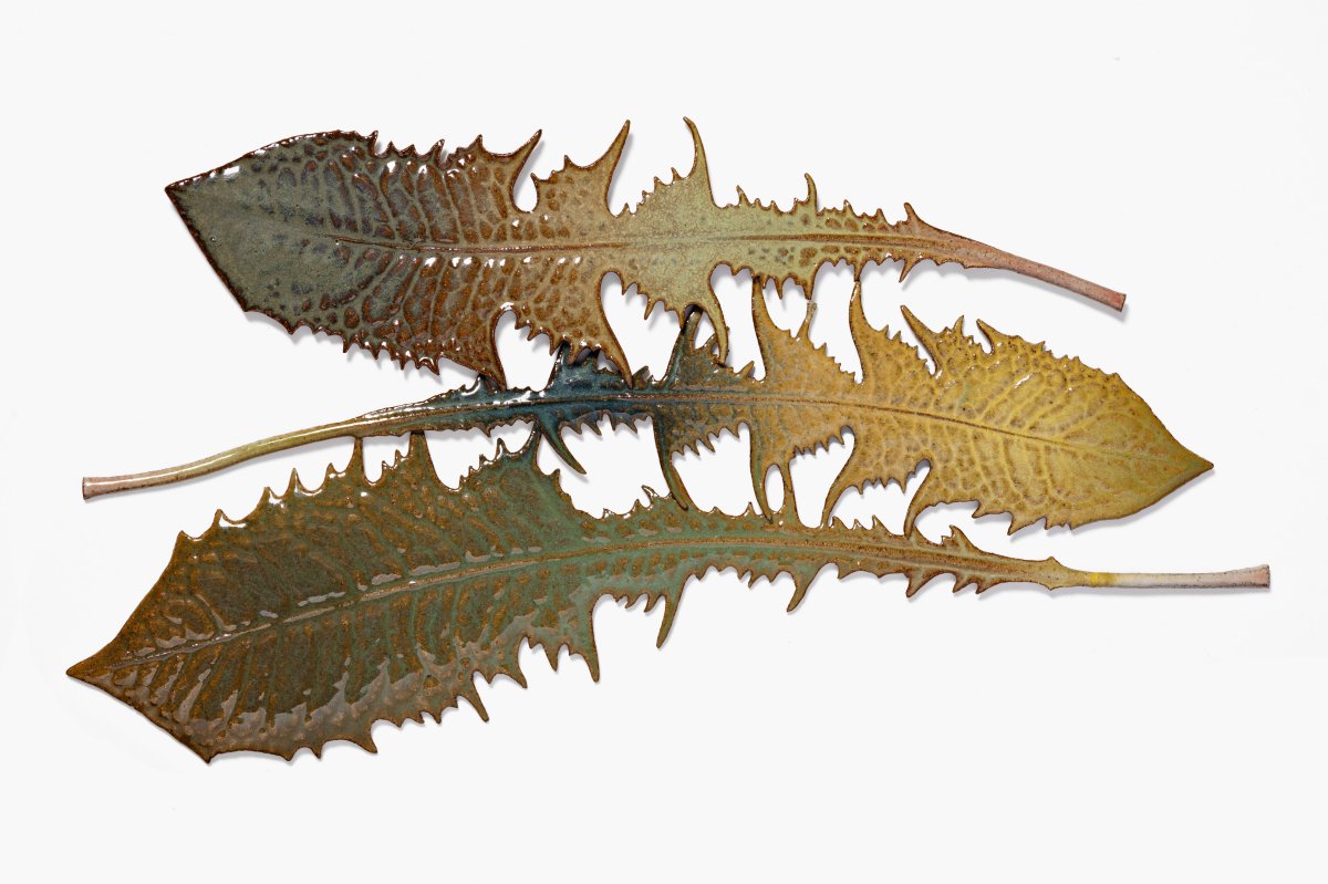 Marianne Nielsen, Three Dandelion Leaves, 2023