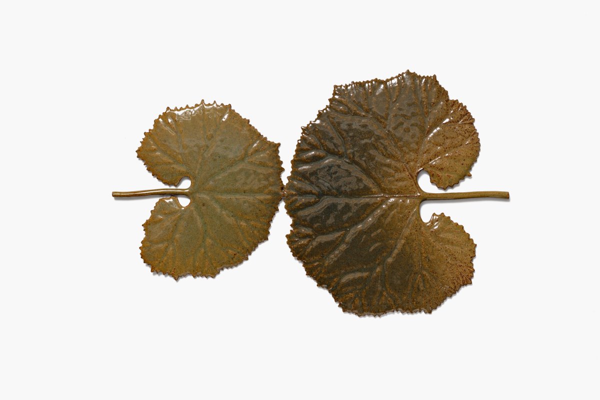 Marianne Nielsen, Two Petasites, 2023