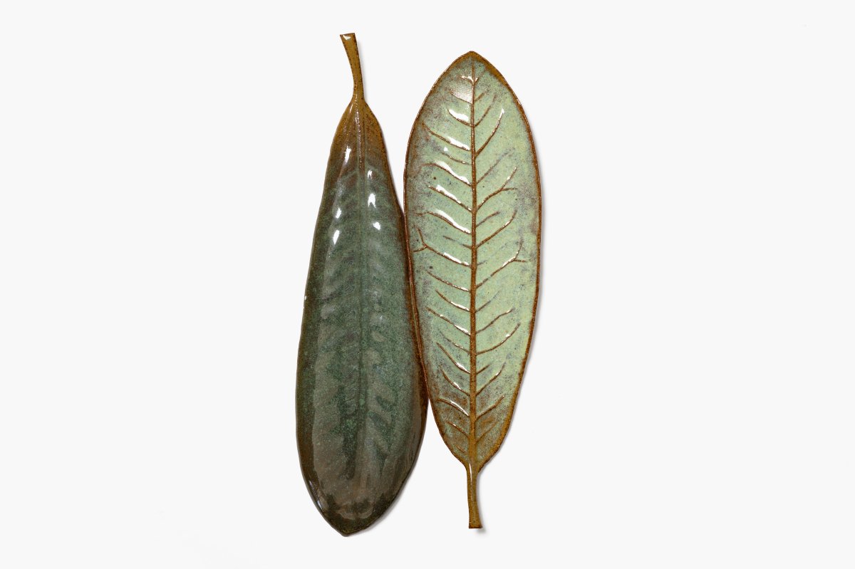 Two Rhododendron Leaves, 2023