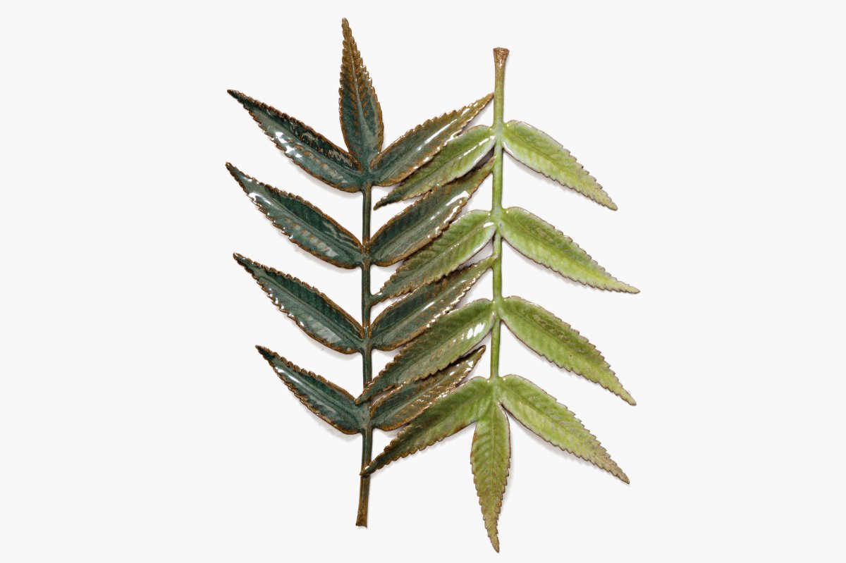 Marianne Nielsen, Two Rowan Leaves, 2023