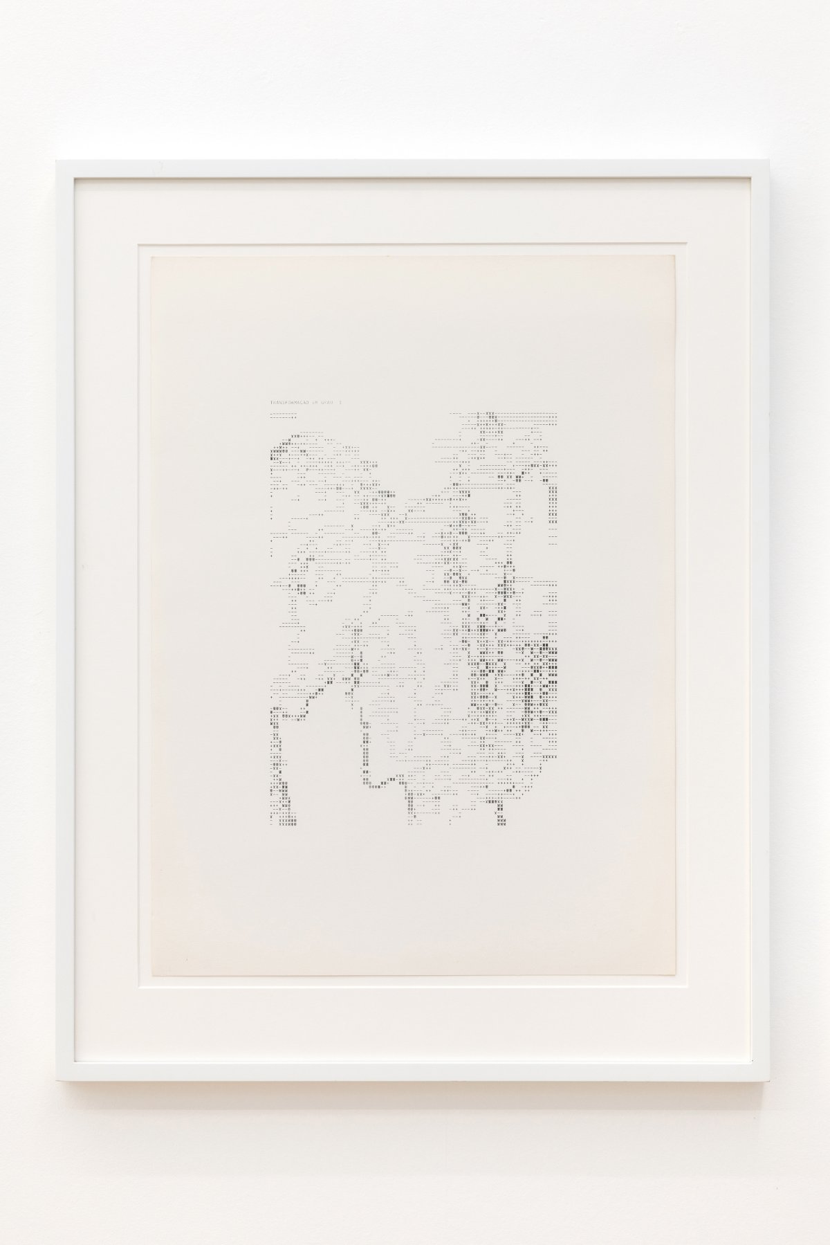 Waldemar Cordeiro, Derivatives of an image degree 1, 1969