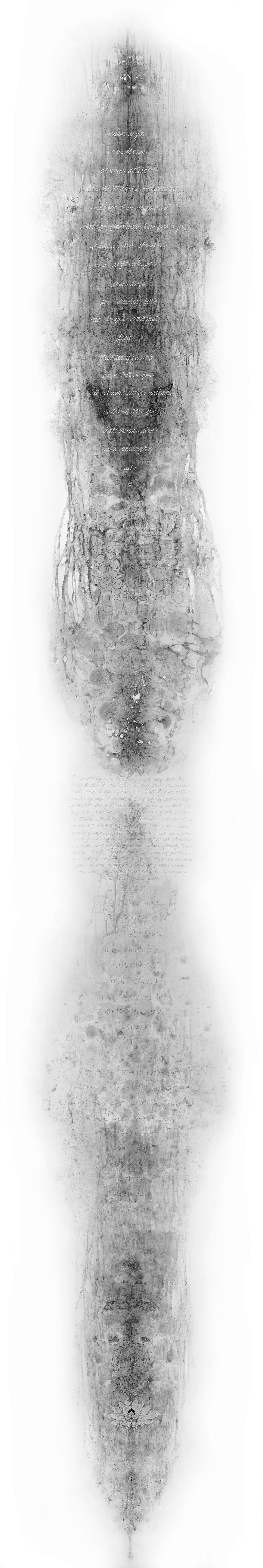 Carol Prusa, Strange Attractors (back), 2024