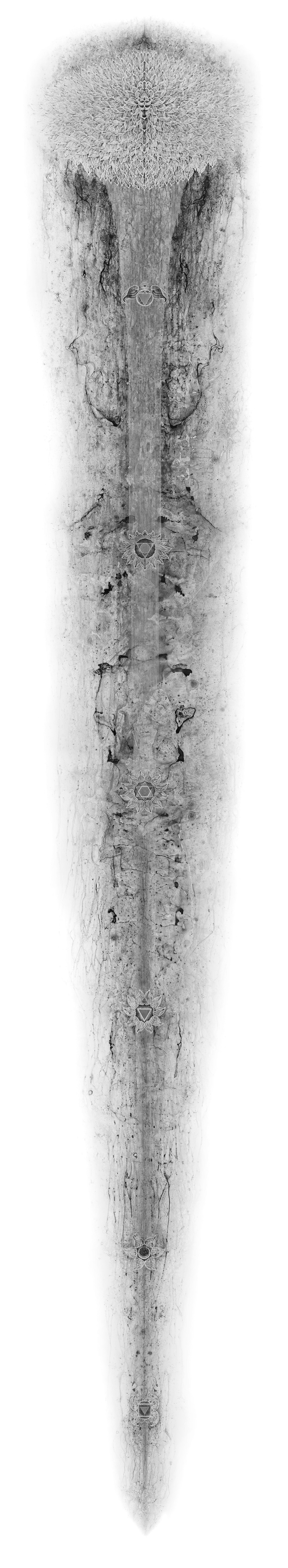 Carol Prusa, Strange Attractors (front), 2024