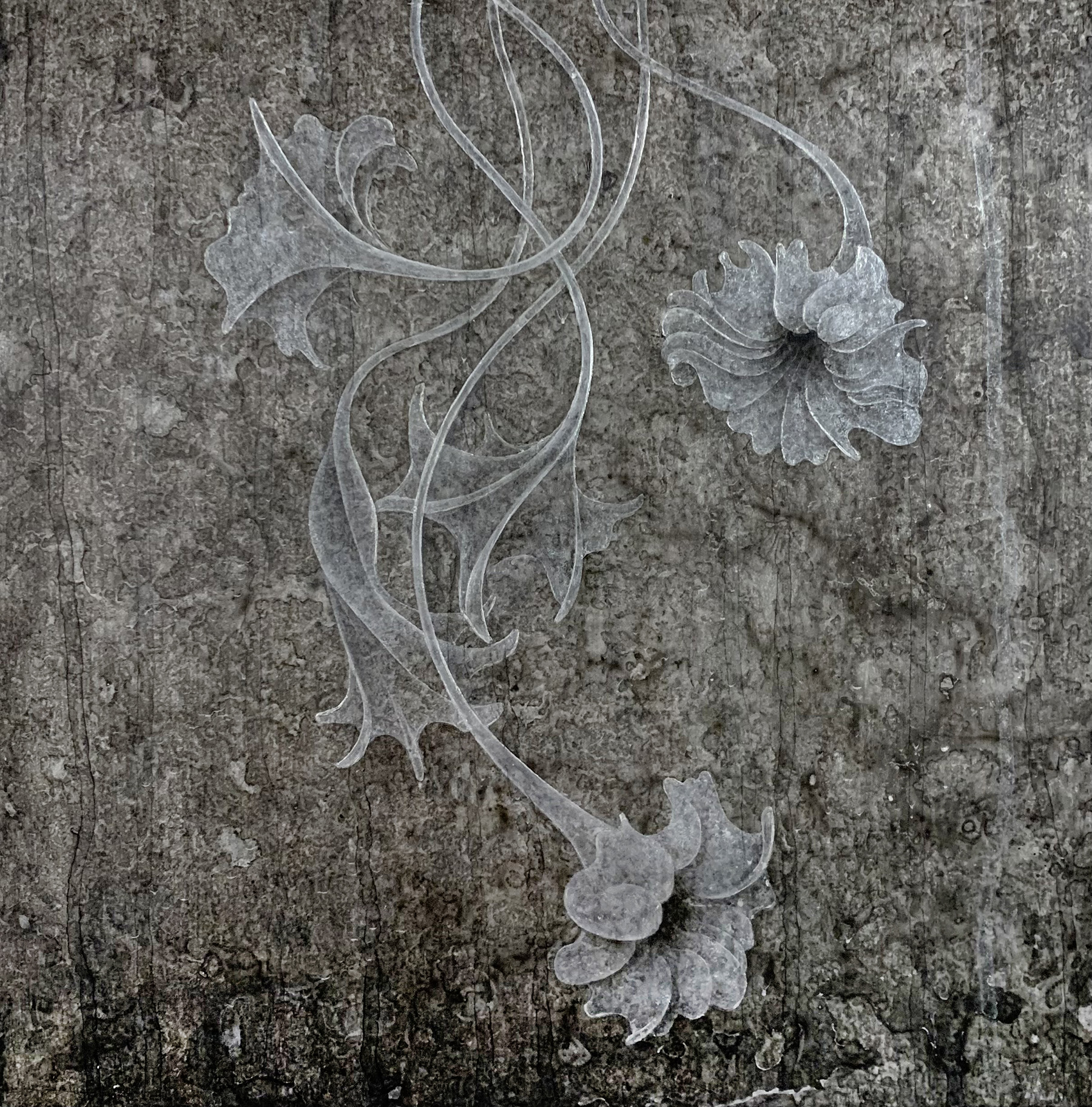 Carol Prusa, Moon Flowers, 2023