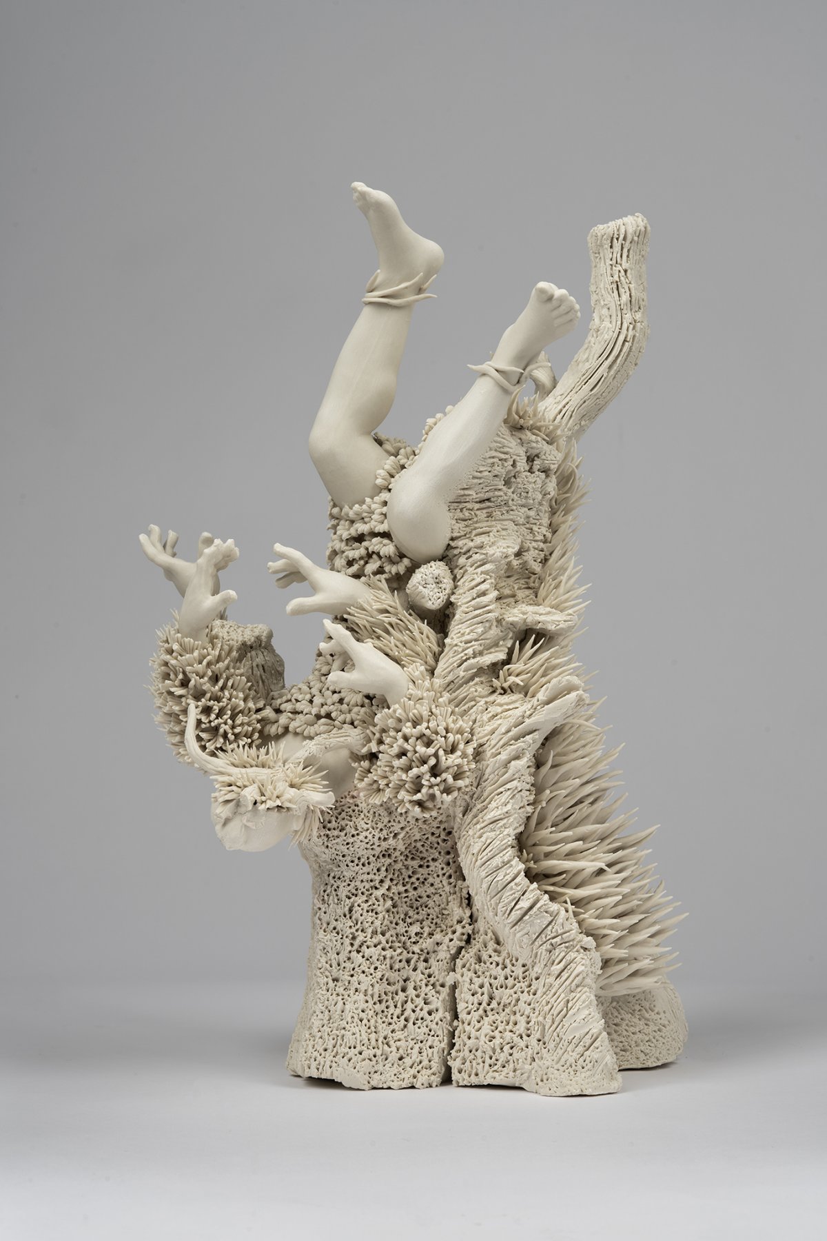 Diego Cibelli, Metamorphosis, 2024