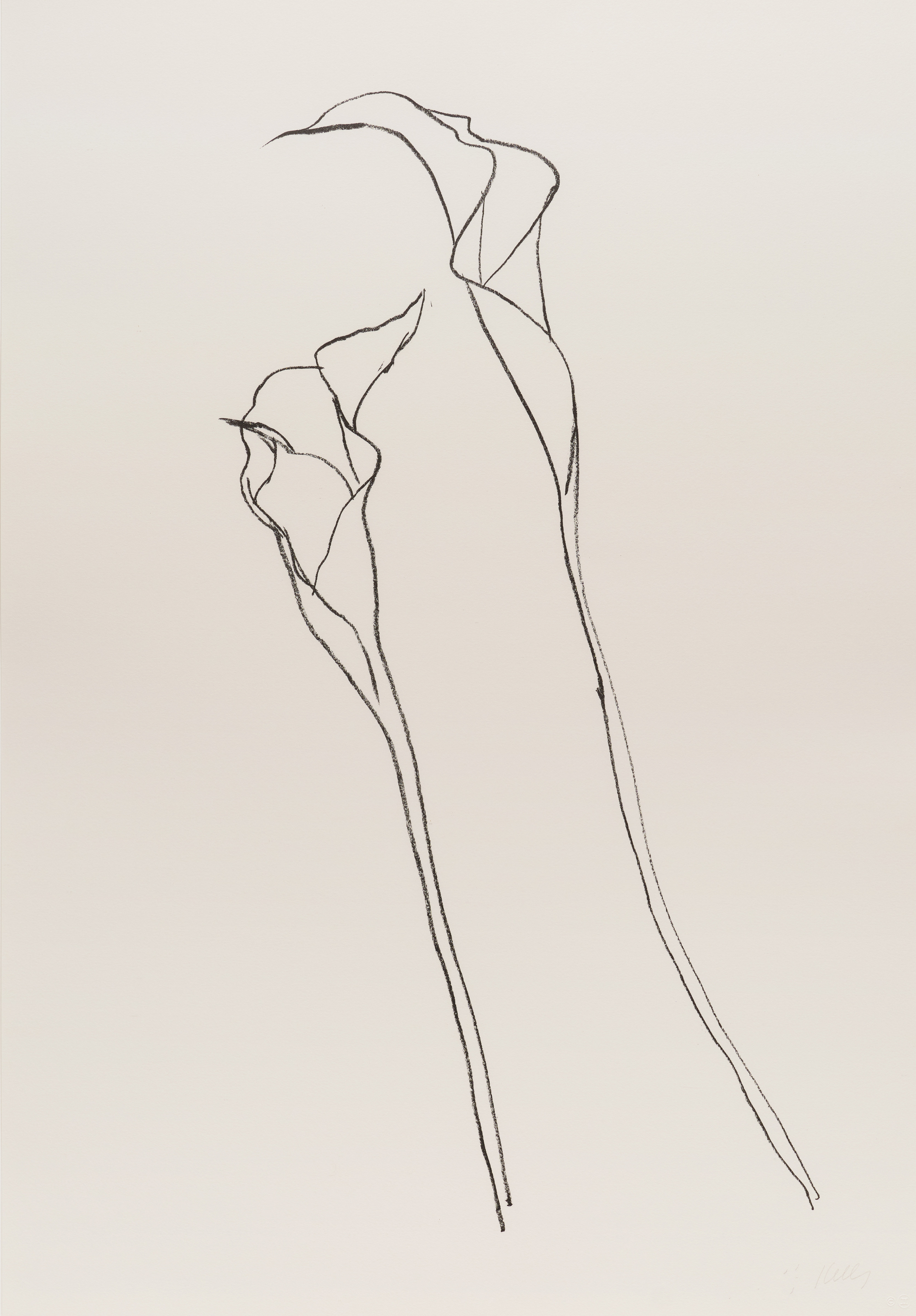 Ellsworth Kelly, Calla Lily II, 1983-85