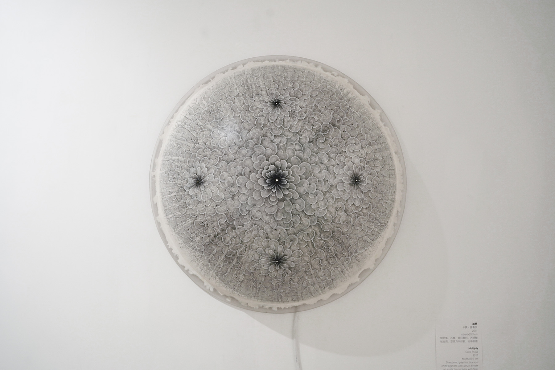 Carol Prusa, Multiply, 2011