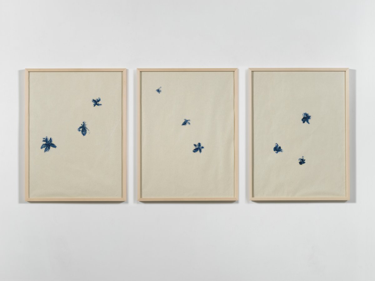 Andreas Zampella, Paolo Bini, Andreas Zampella, Selene Cardia, Carmela De Falco, Selene Cardia, Nina Jonsson Qi, Gianmarco Biele, Nicola Vincenzo Piscopo, Gianmarco Biele, Selene Cardia, Paolo Bini, Gianmarco Biele, Gianmarco Biele, Selene Cardia, Carmela De Falco, Maria Giovanna Abbate, Paolo Puddu & Gianmarco Biele, Fiori Blue, 2023