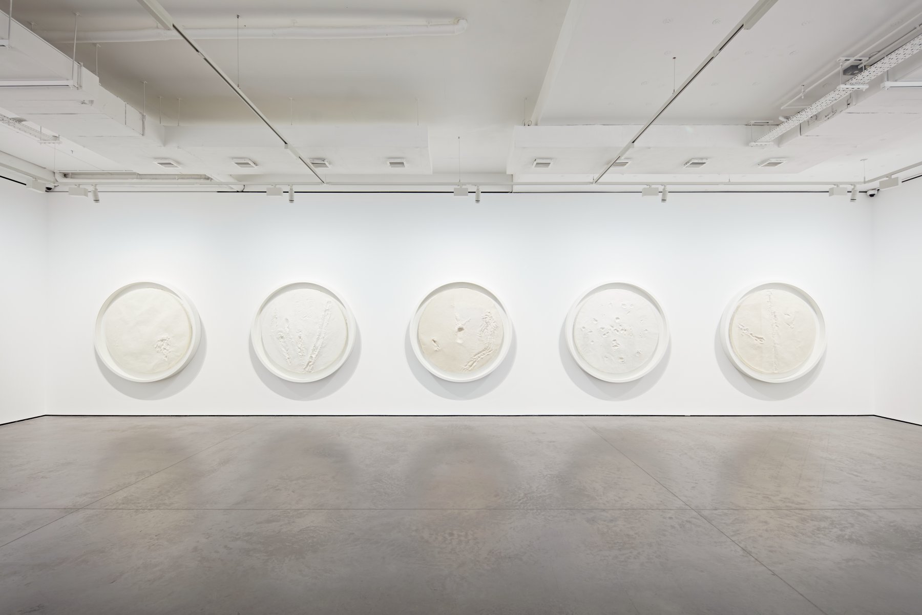 Image for Vibha Galhotra: Climacteric Whispers, at Goodman Gallery